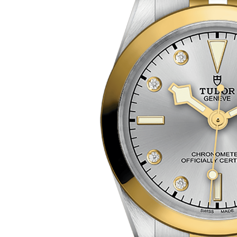Black Bay Yellow Gold & Steel Silver Dial 31mm Product Image 3