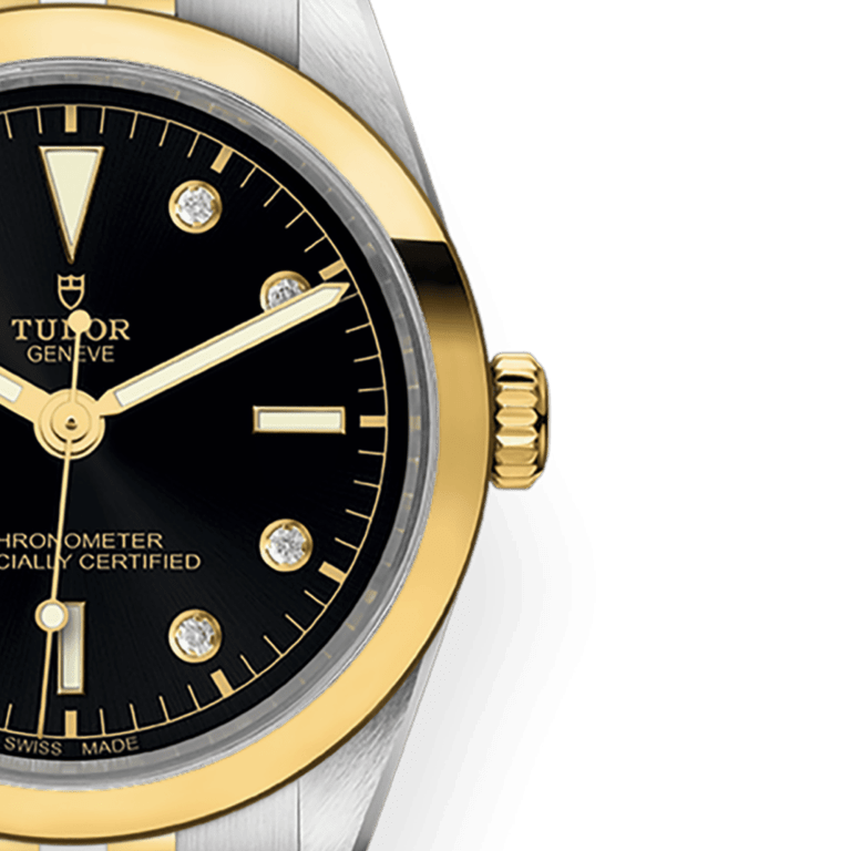 Black Bay Yellow Gold & Steel Black Dial 36mm Product Image 2