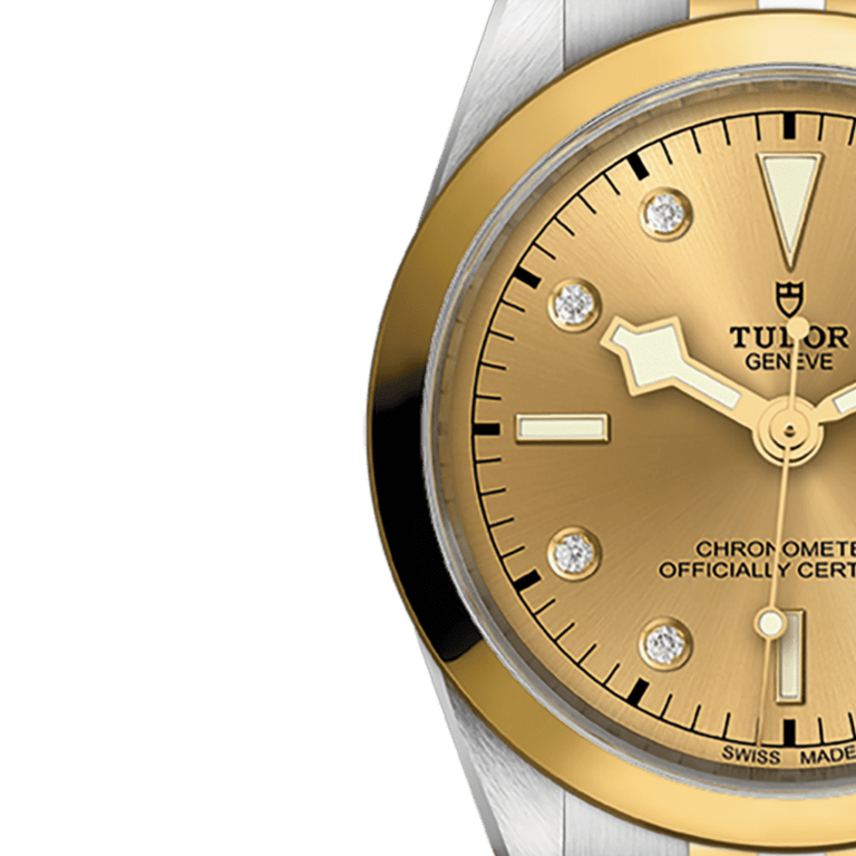 Black Bay Yellow Gold & Steel Champagne Dial 36mm Product Image 3