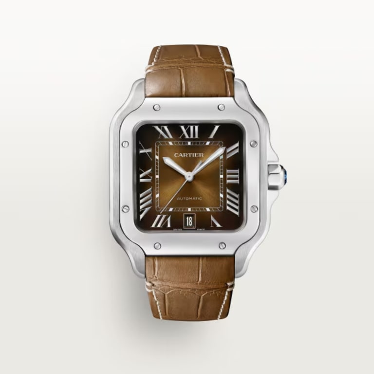 Santos de Cartier Steel Brown Dial 35mm Product Image 6