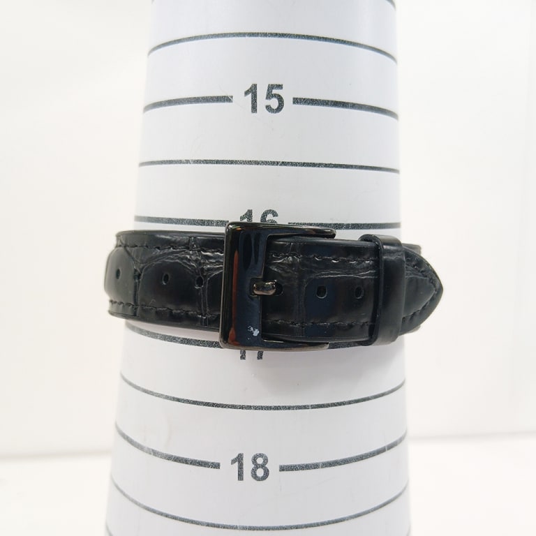 Santos-Dumont Micro-Rotor Steel Skeleton Dial 43mm Product Image 8