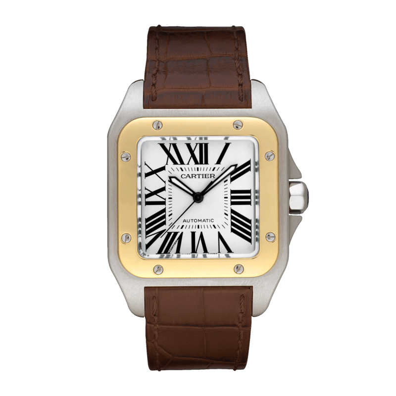 Photo of Santos de Cartier Yellow Gold & Steel Silver Dial 38mm