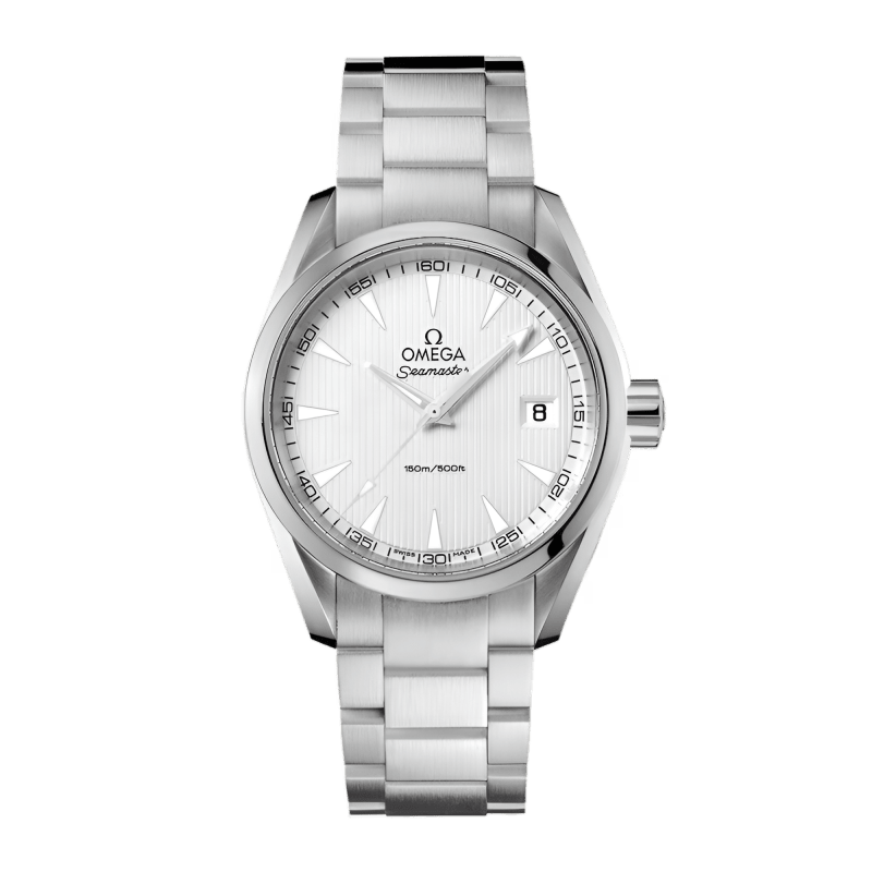 Photo of Aqua Terra Quartz Steel Silver Dial 38mm