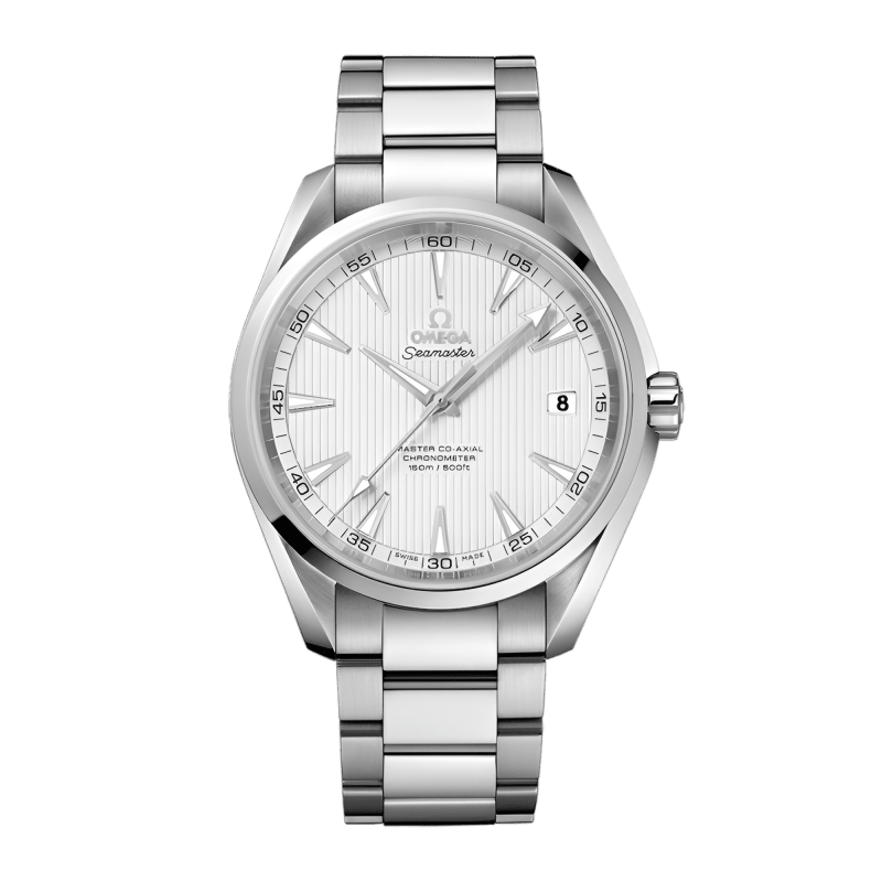 Photo of Aqua Terra Steel Silver Dial 41mm