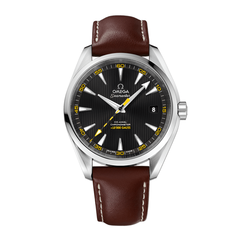 Photo of Aqua Terra Steel Black Dial 41mm