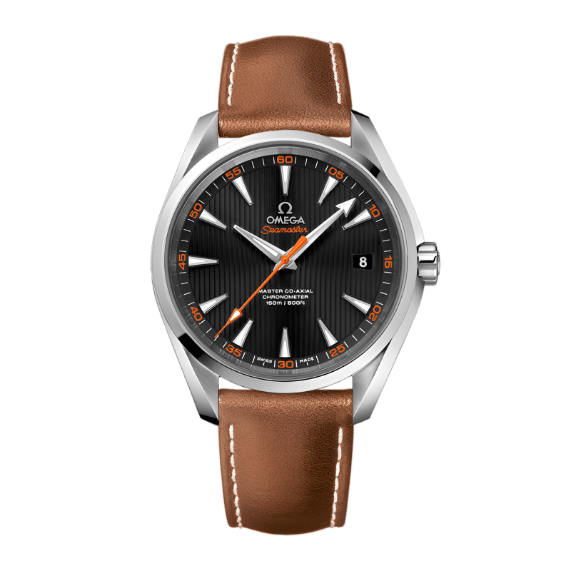 Photo of Aqua Terra Steel Black Dial 41mm