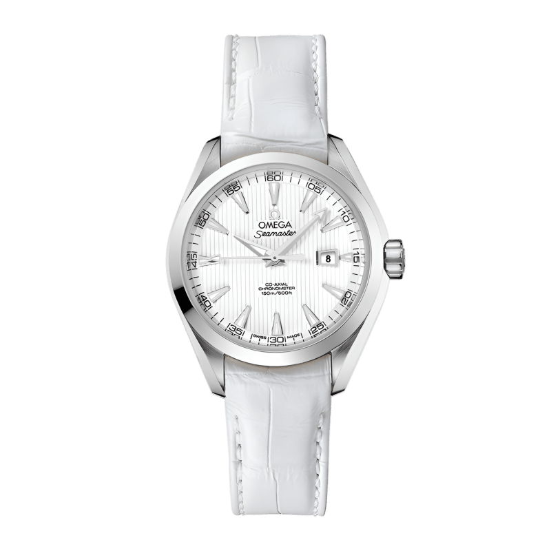 Photo of Aqua Terra Steel Silver Dial 34mm