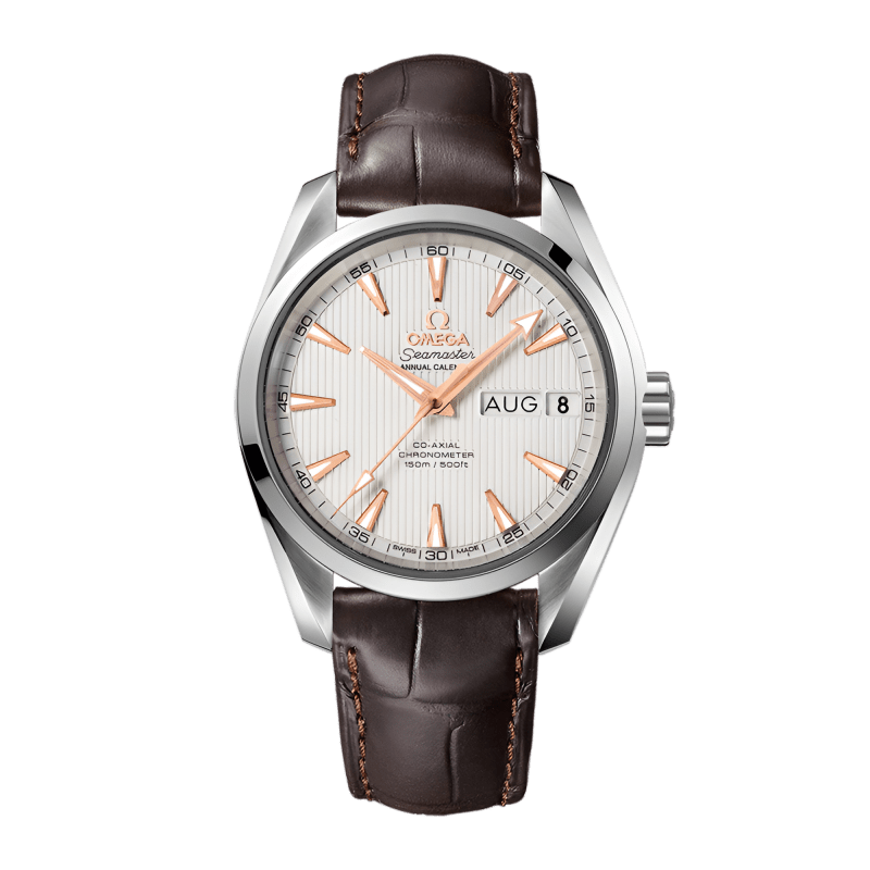 Photo of Aqua Terra Annual Calendar Steel Silver Dial 38mm