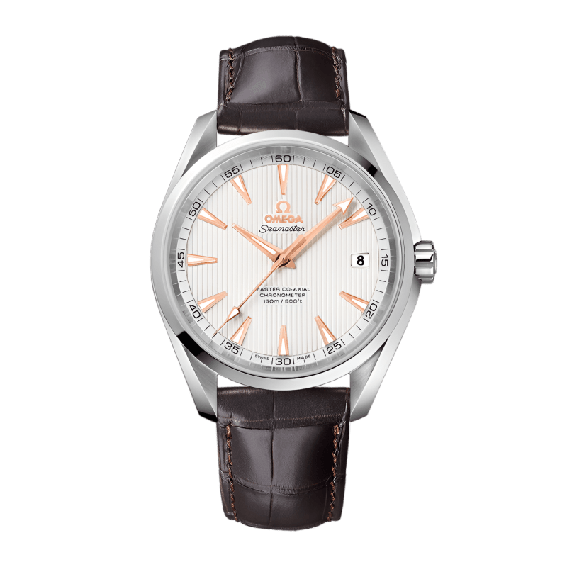 Photo of Aqua Terra Steel Silver Dial 41mm