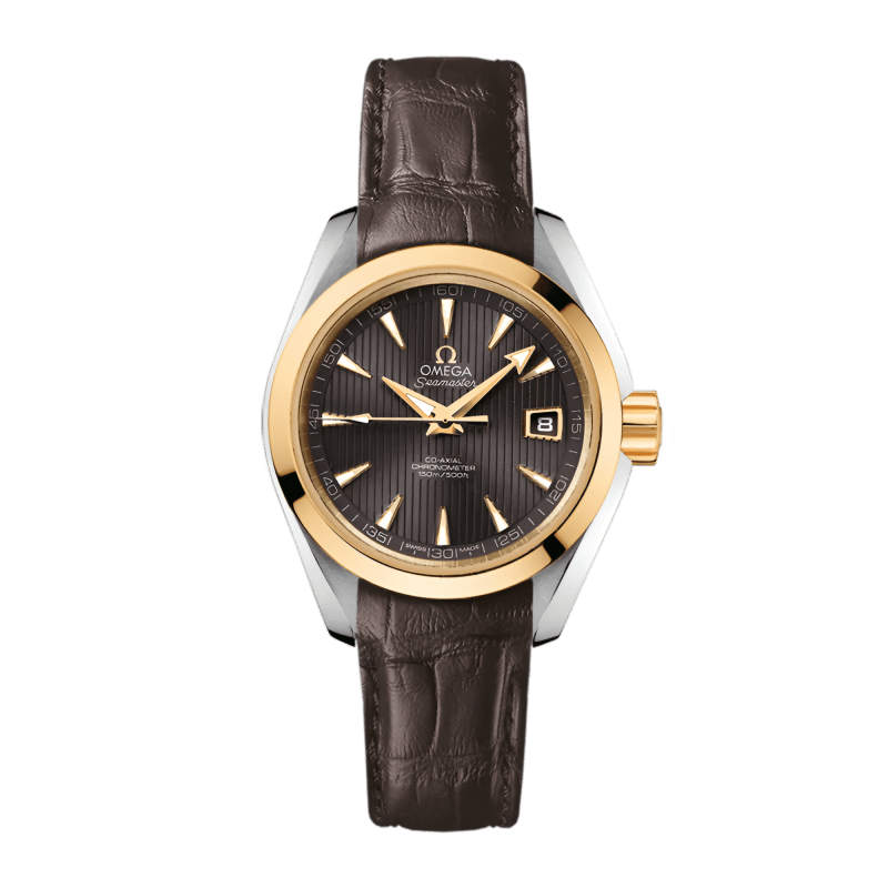 Photo of Aqua Terra Yellow Gold & Steel Grey Dial 30mm