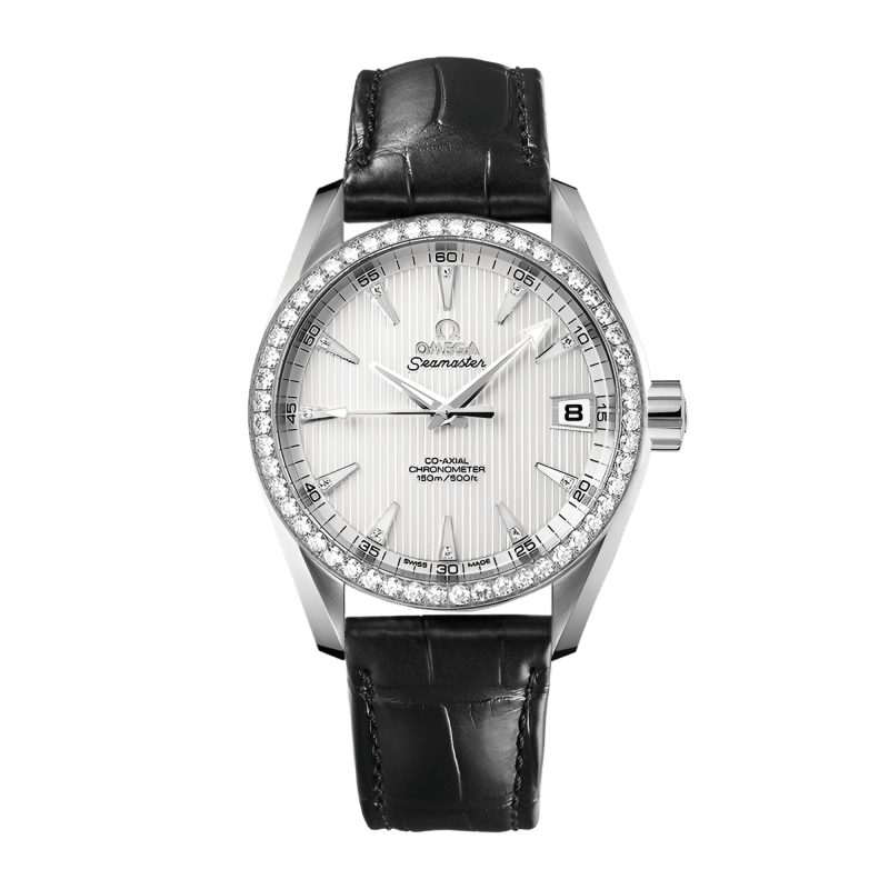 Photo of Aqua Terra White Gold Silver Dial 38mm