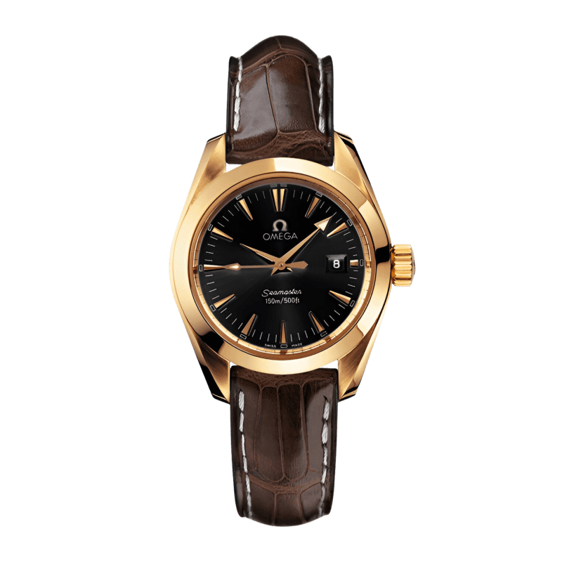 Photo of Aqua Terra Yellow Gold Black Dial 29mm