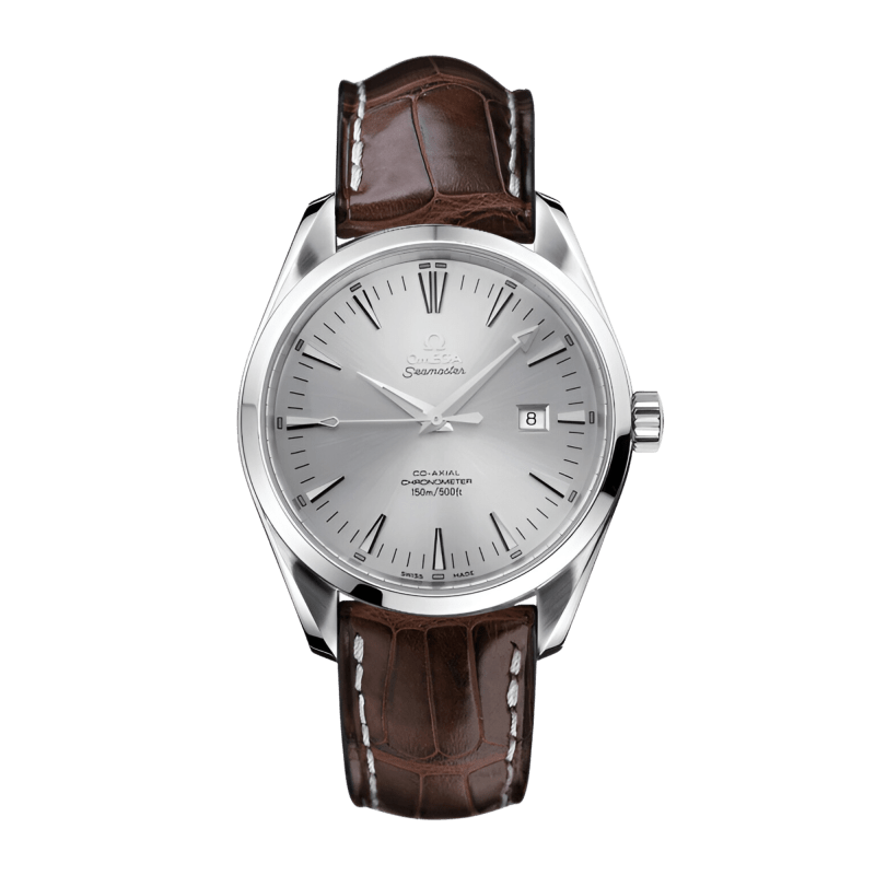 Photo of Aqua Terra Steel Silver Dial 42mm