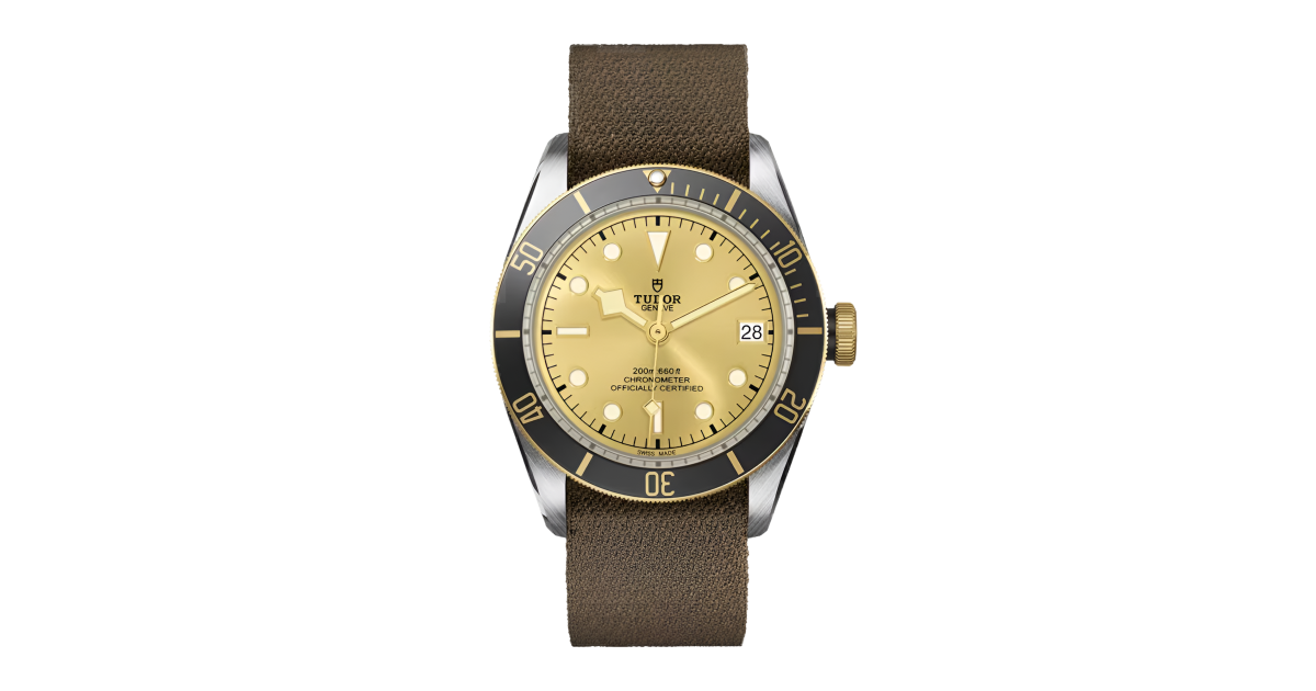Tudor Black Bay Yellow Gold & Steel Champagne Dial 41mm M79733N