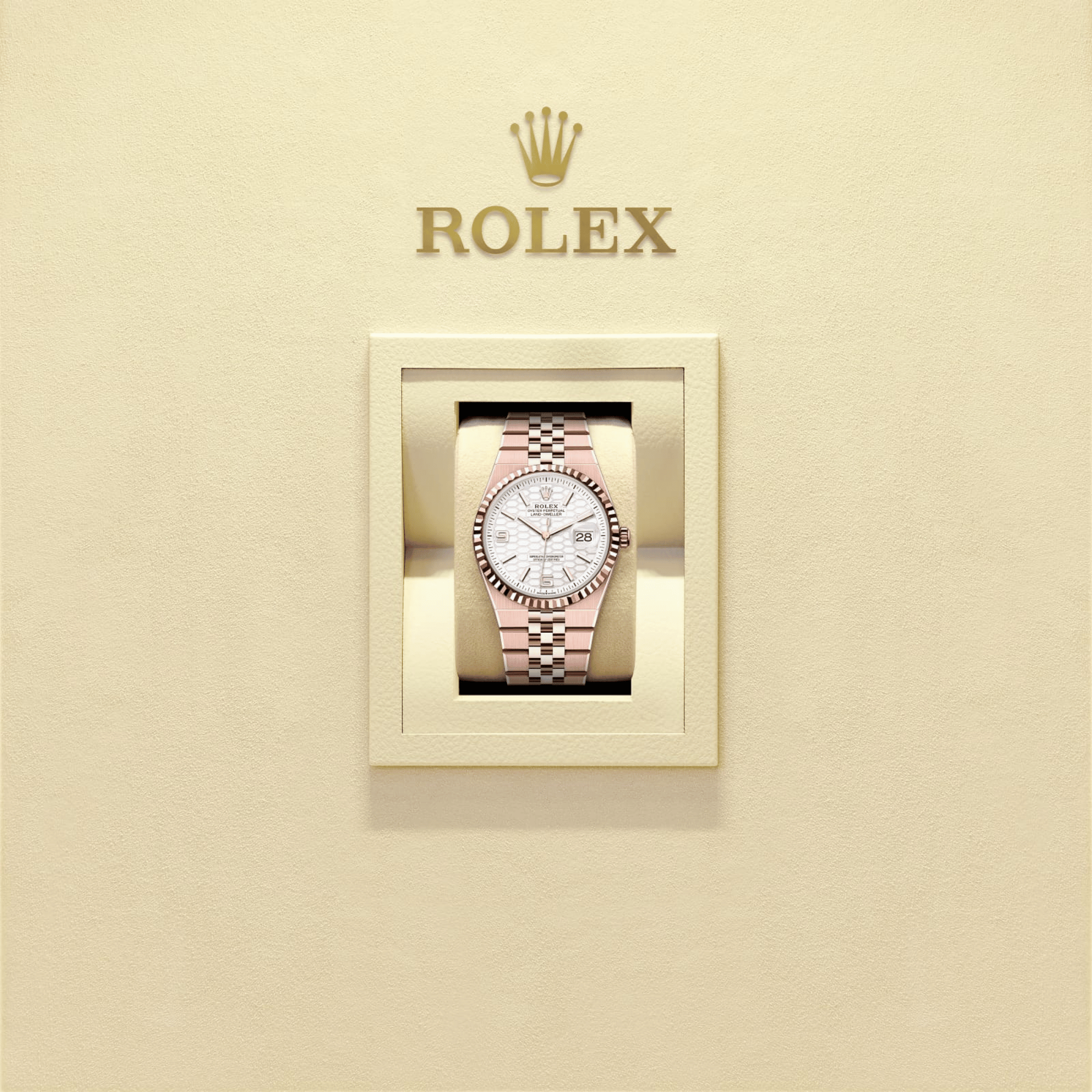 Land-Dweller Rose Gold Jubilee White Dial 36mm Product Image 5