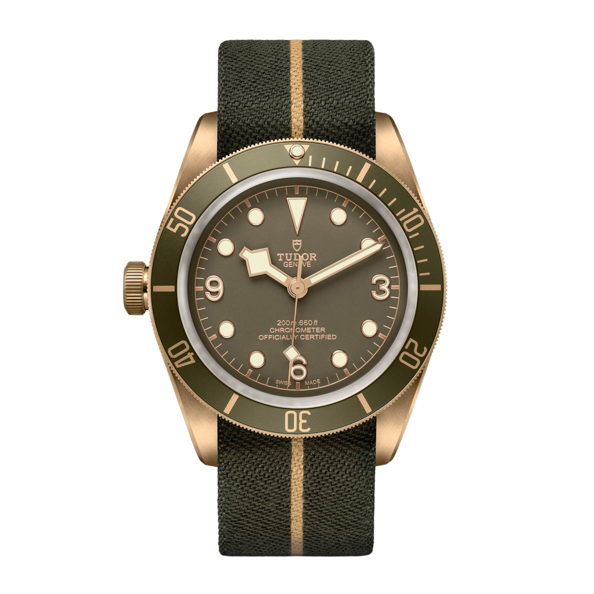 BLACKBAY TUDOR 革ベルト M79250BA-0001 BRONZE