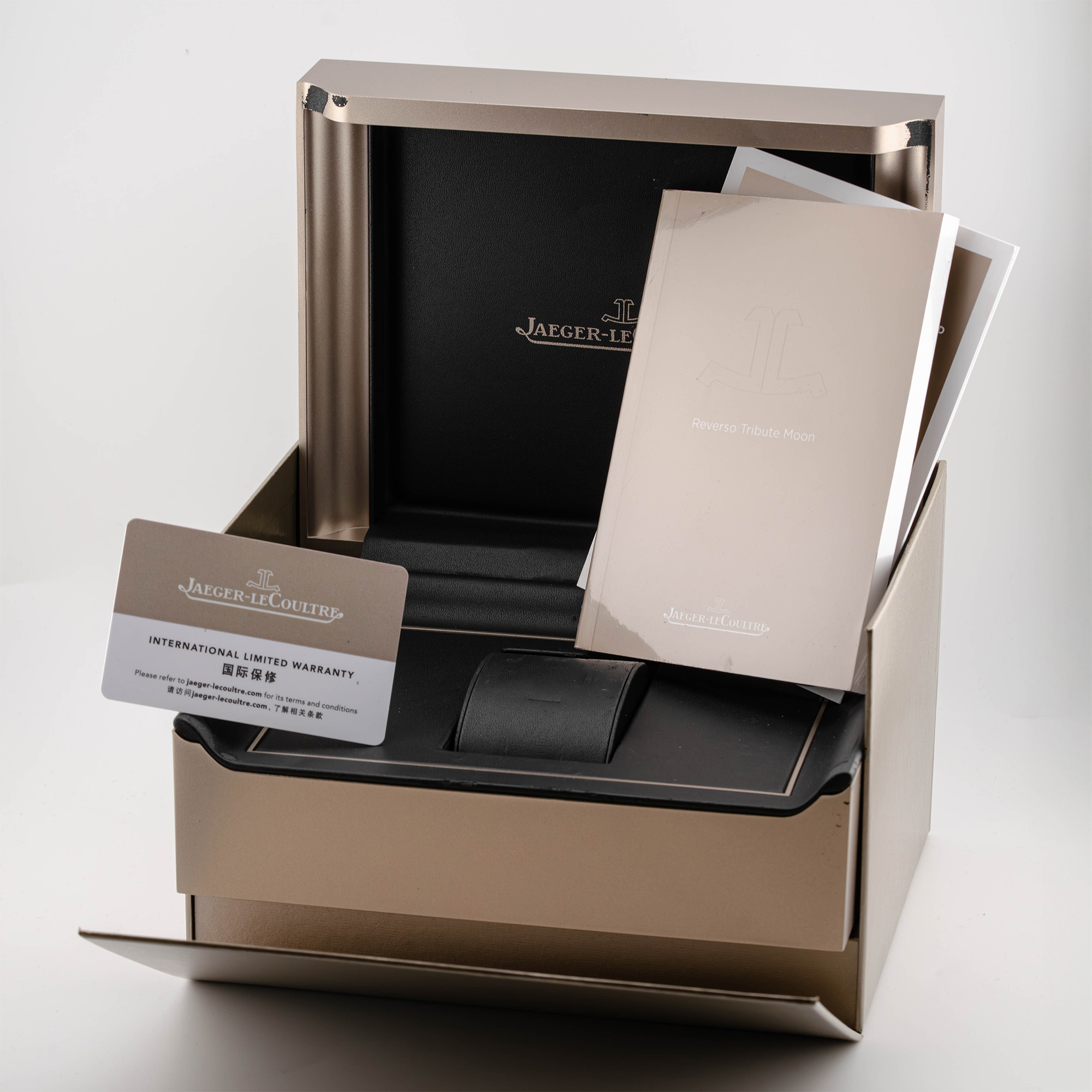 Reverso Tribute Moon Steel Silver Dial 30mm Product Image 11