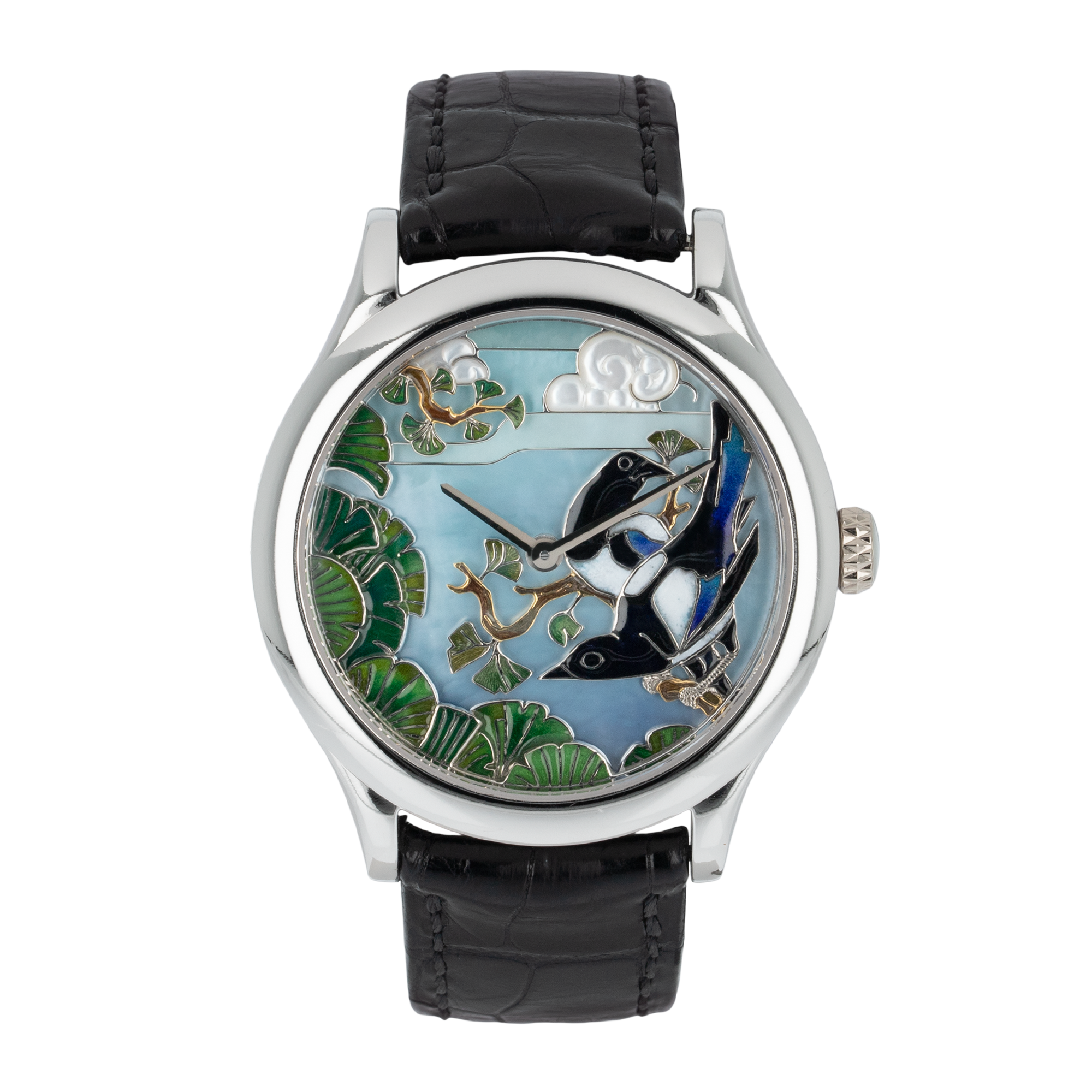 Extraordinary Dials Collection Product Image