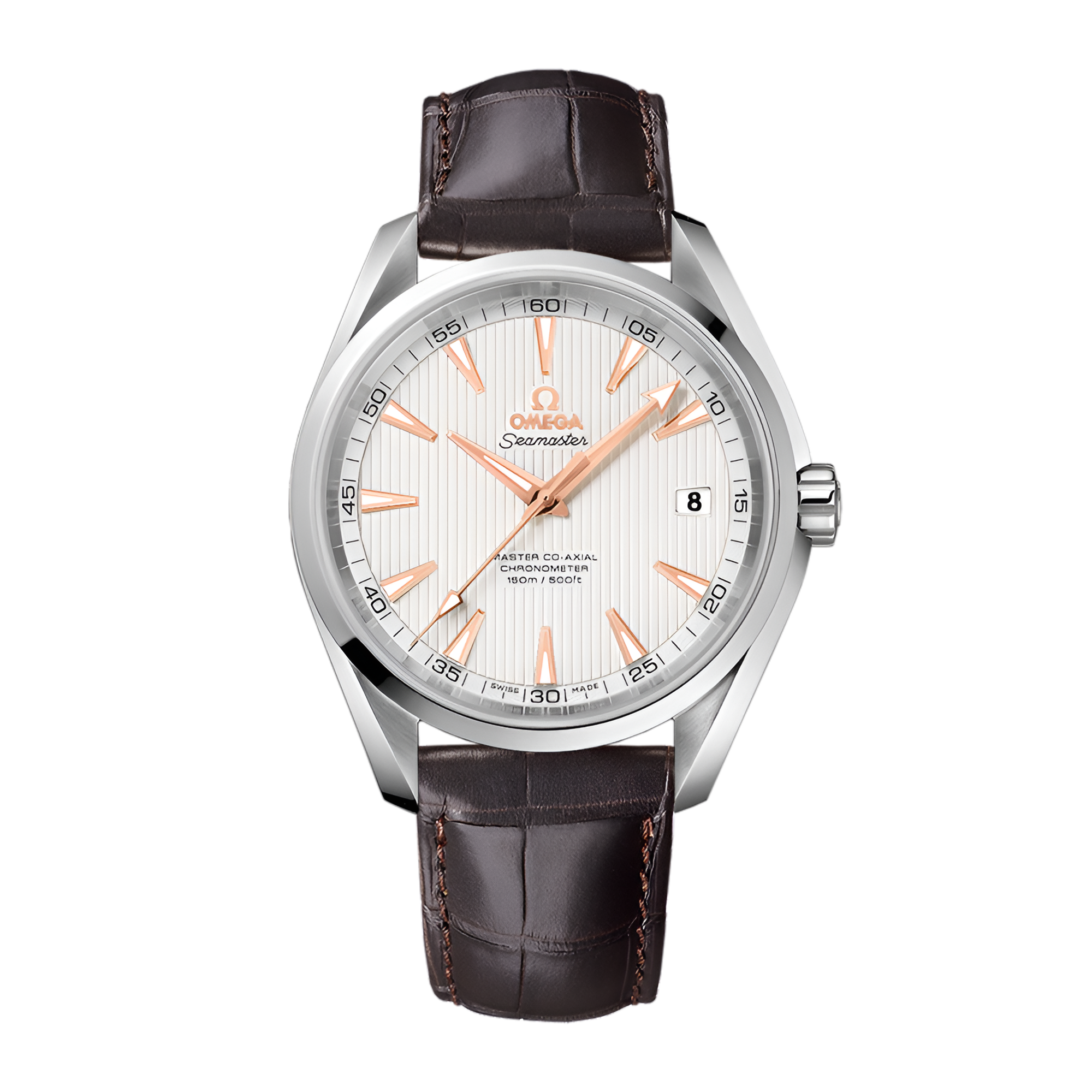 Aqua Terra Steel Silver Dial 41mm Product Image