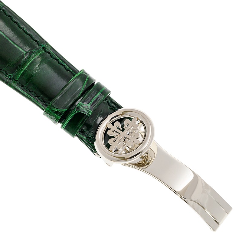 World Time Chronograph Platinum Green Dial 39mm Product Image 5