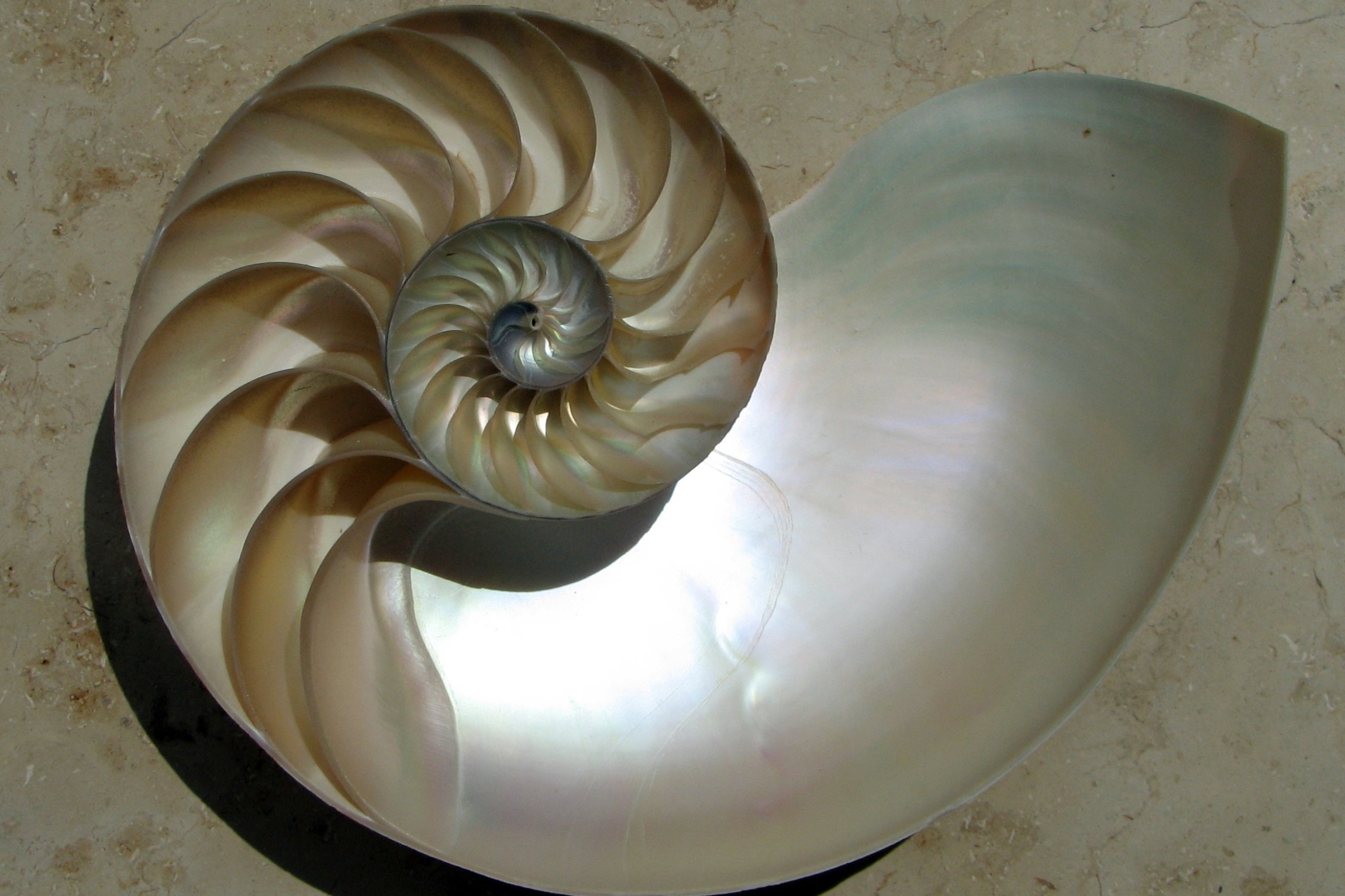 mother of pearl dials
