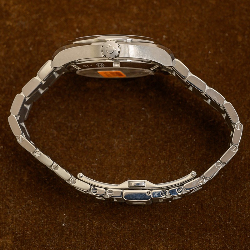 Aqua Terra Steel Silver Dial 38mm Product Image 3