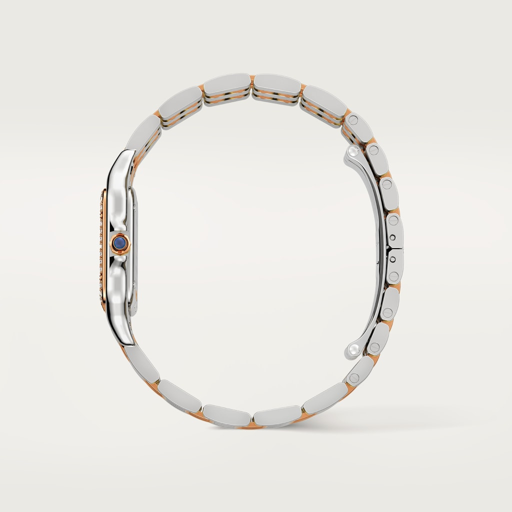 Panthère de Cartier Rose Gold & Steel Diamond Silver Dial 29mm Product Image 5