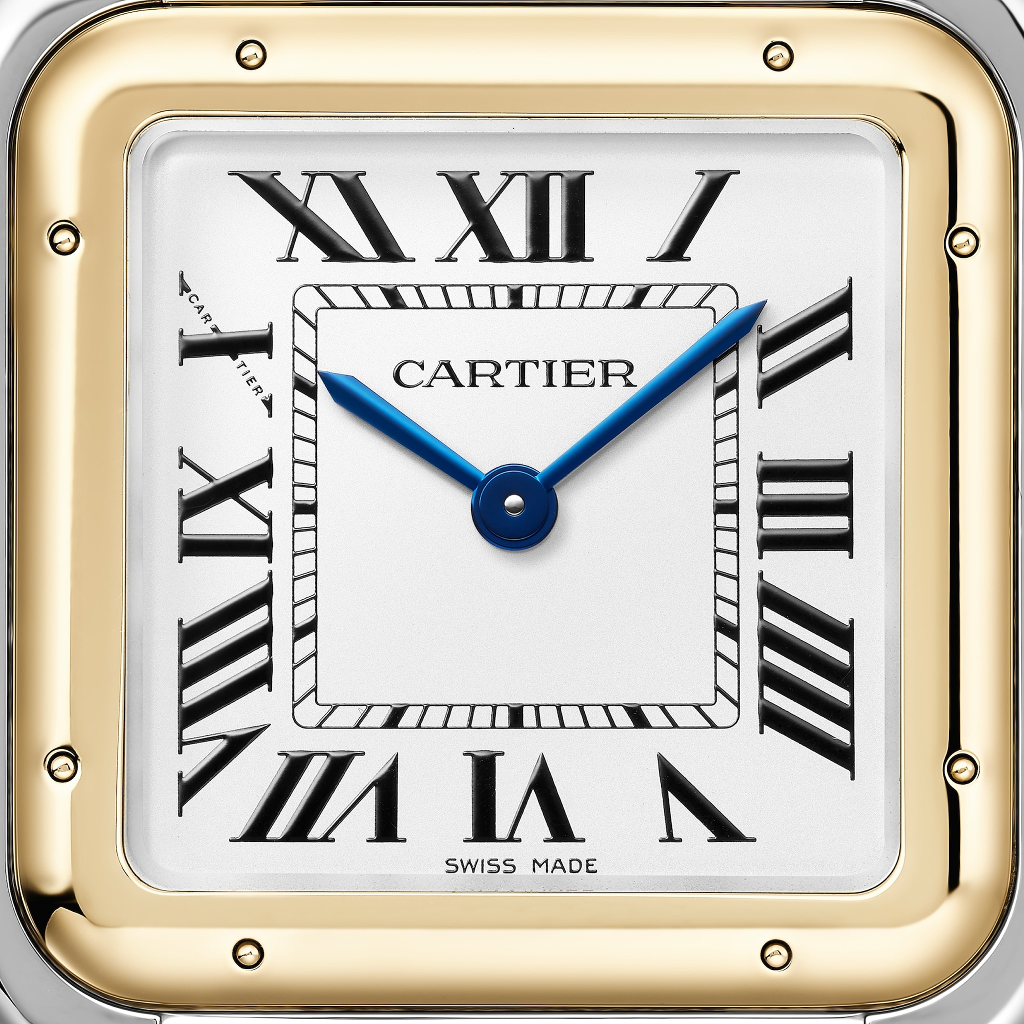 Panthère de Cartier Yellow Gold & Steel Silver Dial 31mm Product Image 1