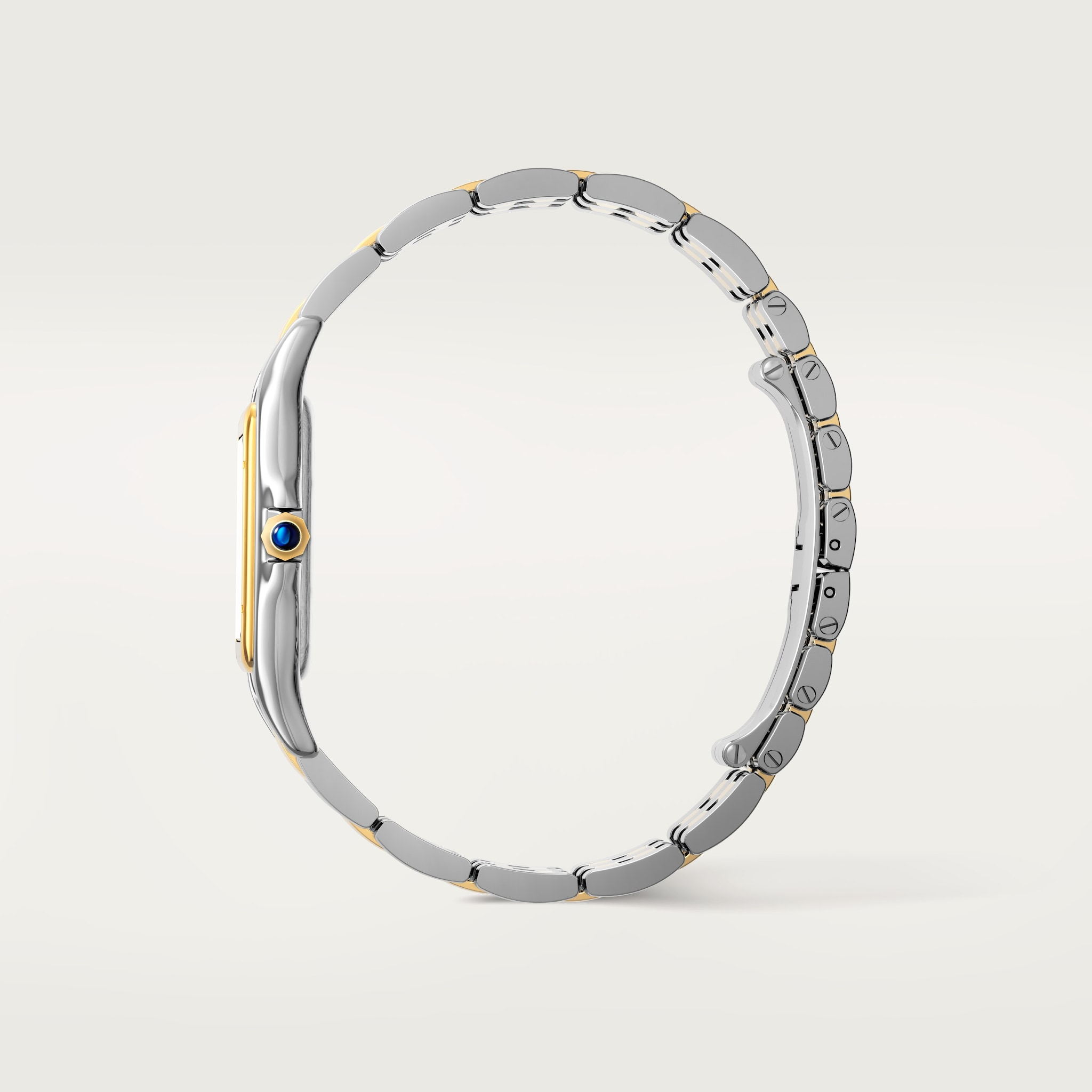 Panthère de Cartier Yellow Gold & Steel Silver Dial 31mm Product Image 3