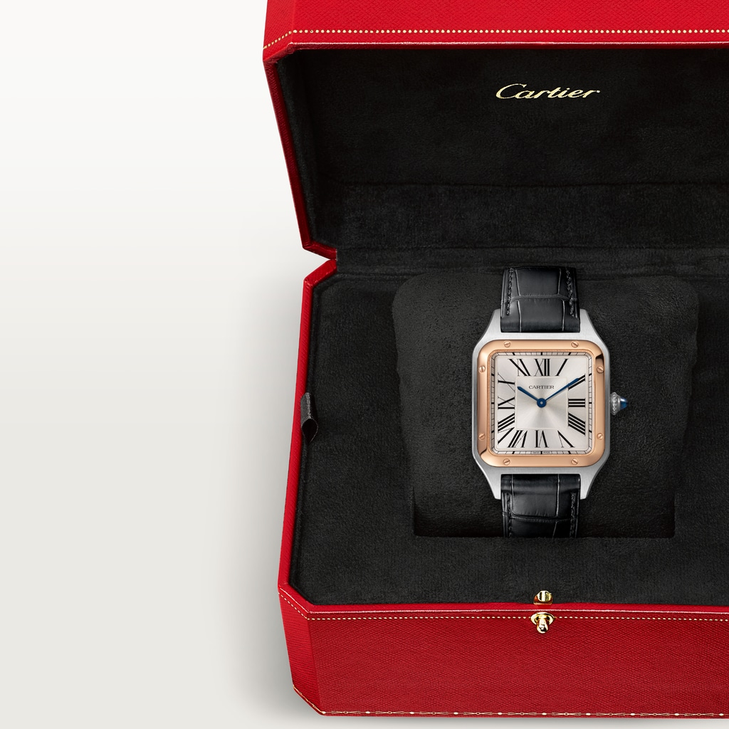 Santos-Dumont Rose Gold & Steel Silver Dial 31mm Product Image 6