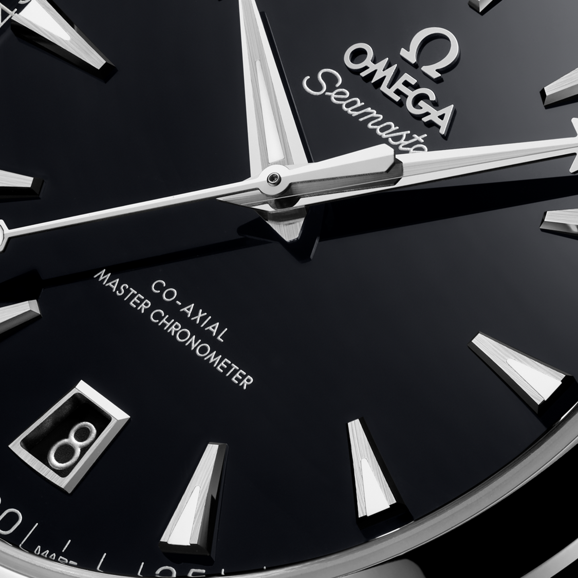 Aqua Terra Steel Black Dial 41mm Product Image 2