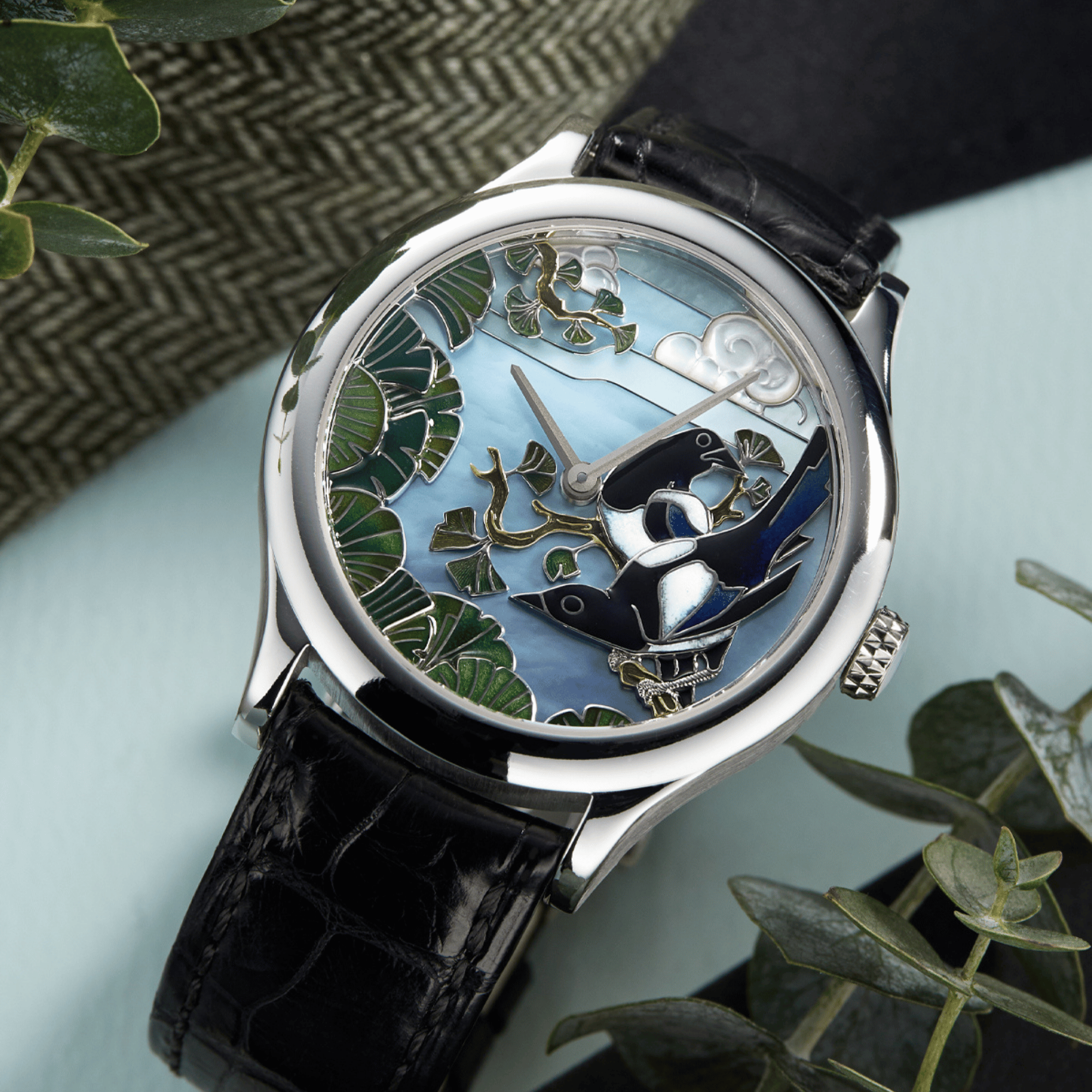 Extraordinary Dials Collection Product Image