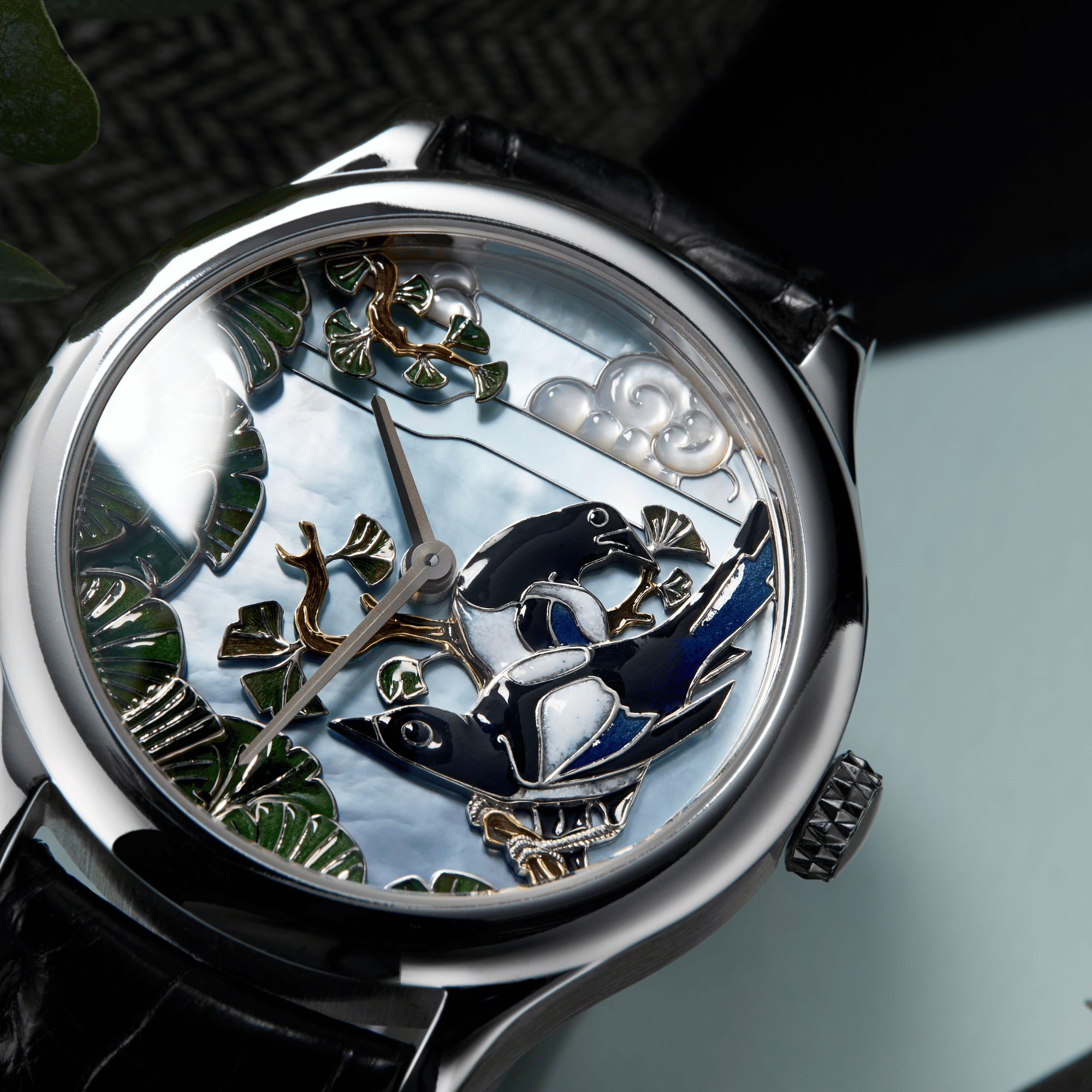 Extraordinary Dials Collection Product Image