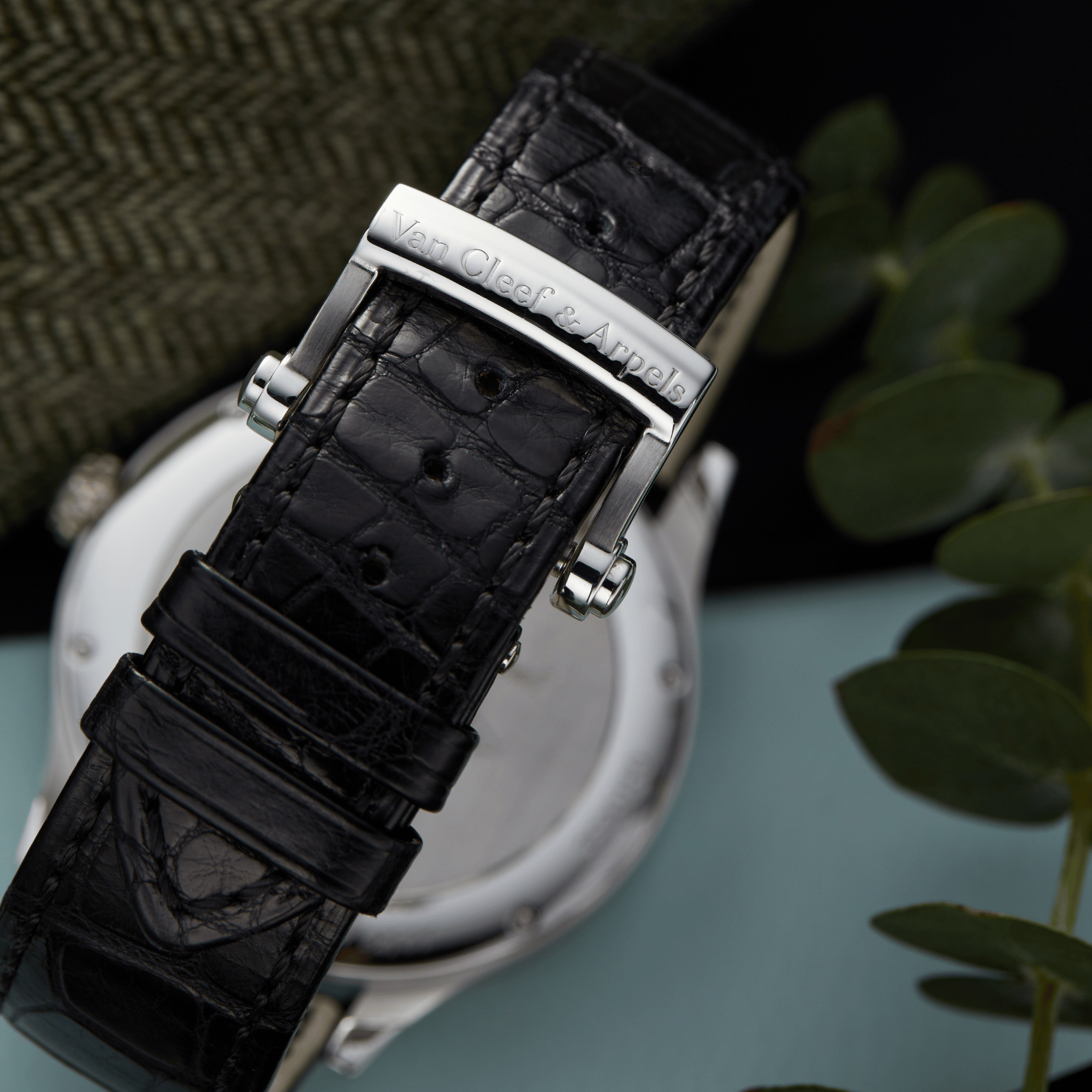 Extraordinary Dials Collection Product Image