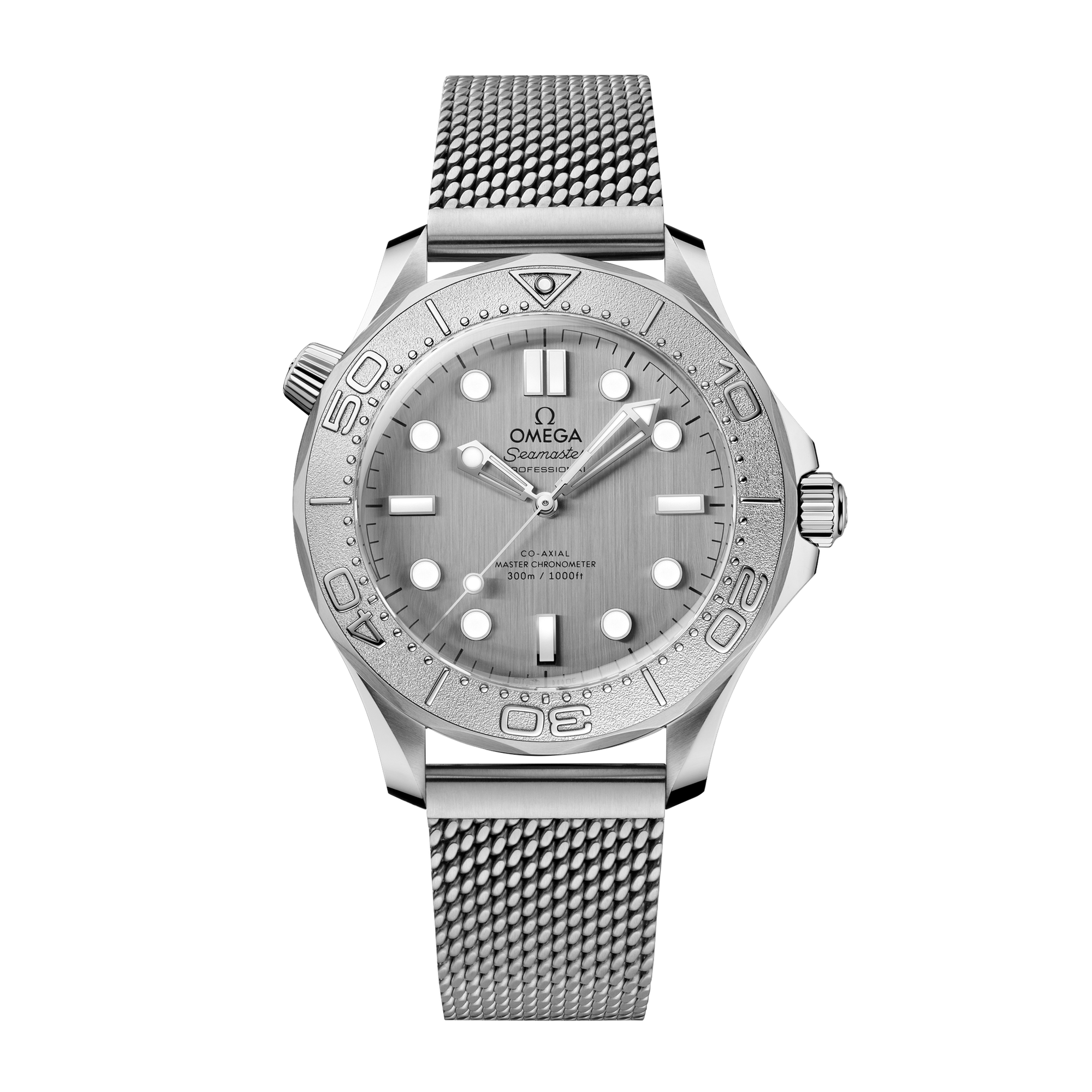Seamaster Diver 300m Titanium & Steel Grey Dial 42mm Product Image