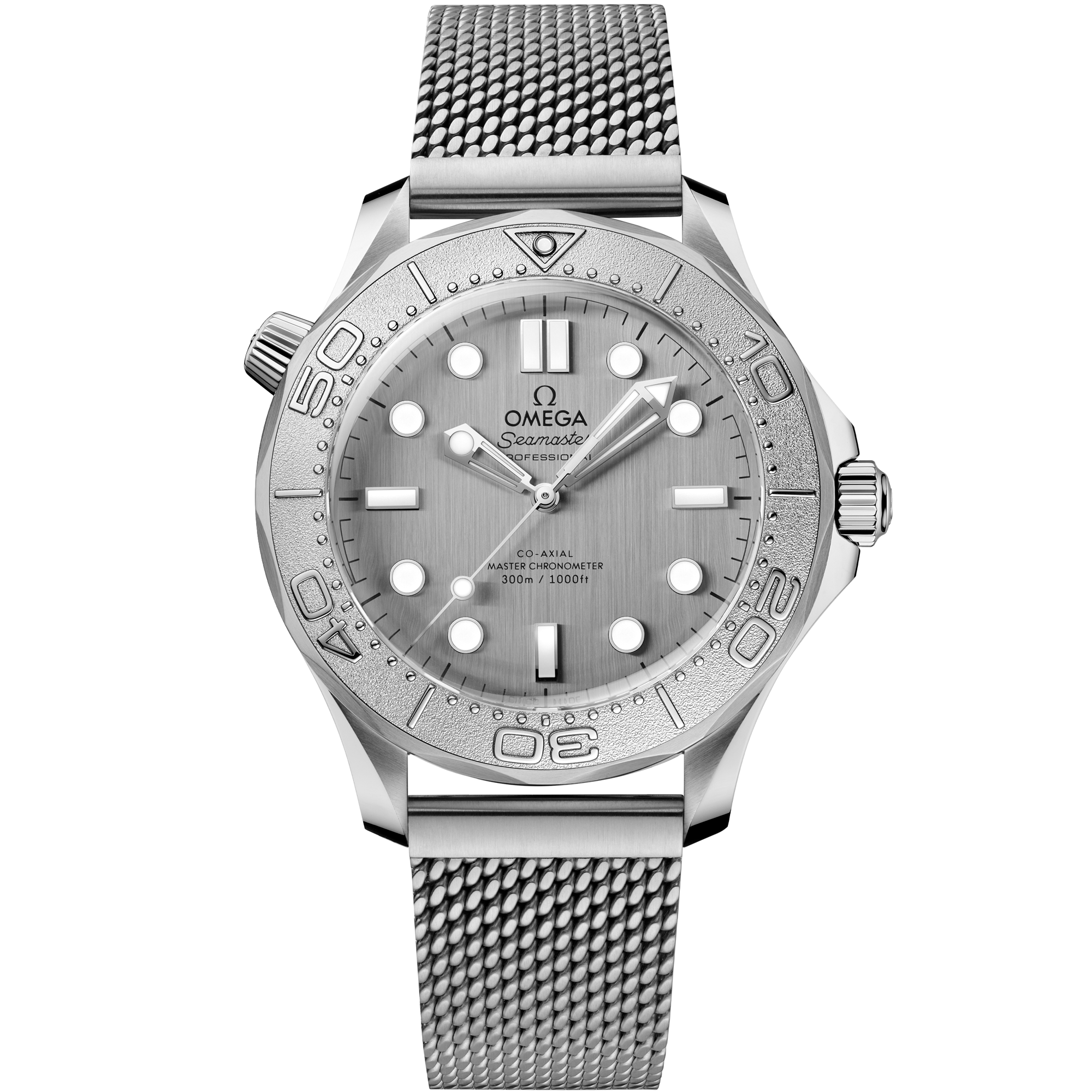Seamaster Diver 300m Titanium & Steel Grey Dial 42mm Product Image 1