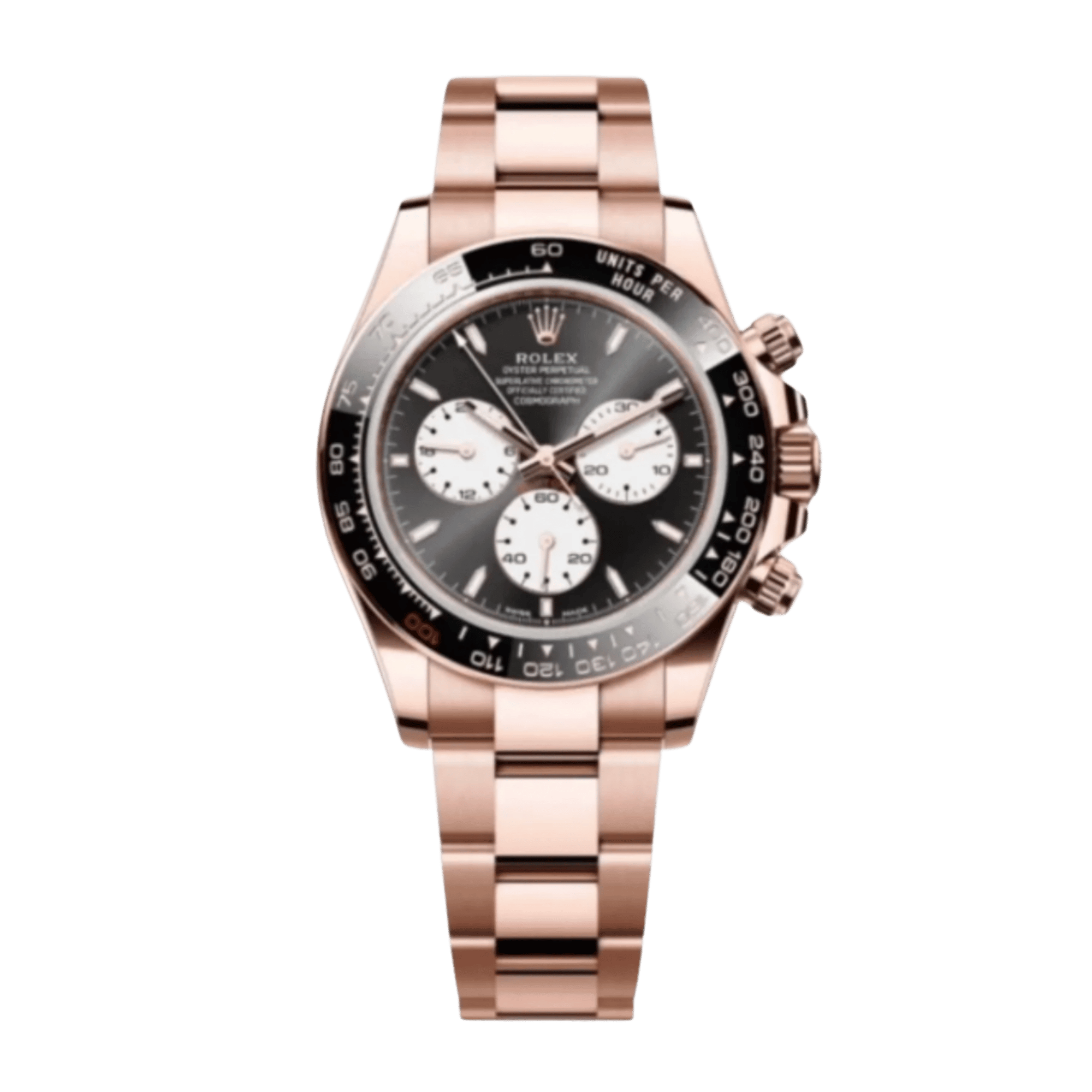 ロシナンテ Rolex Daytona 