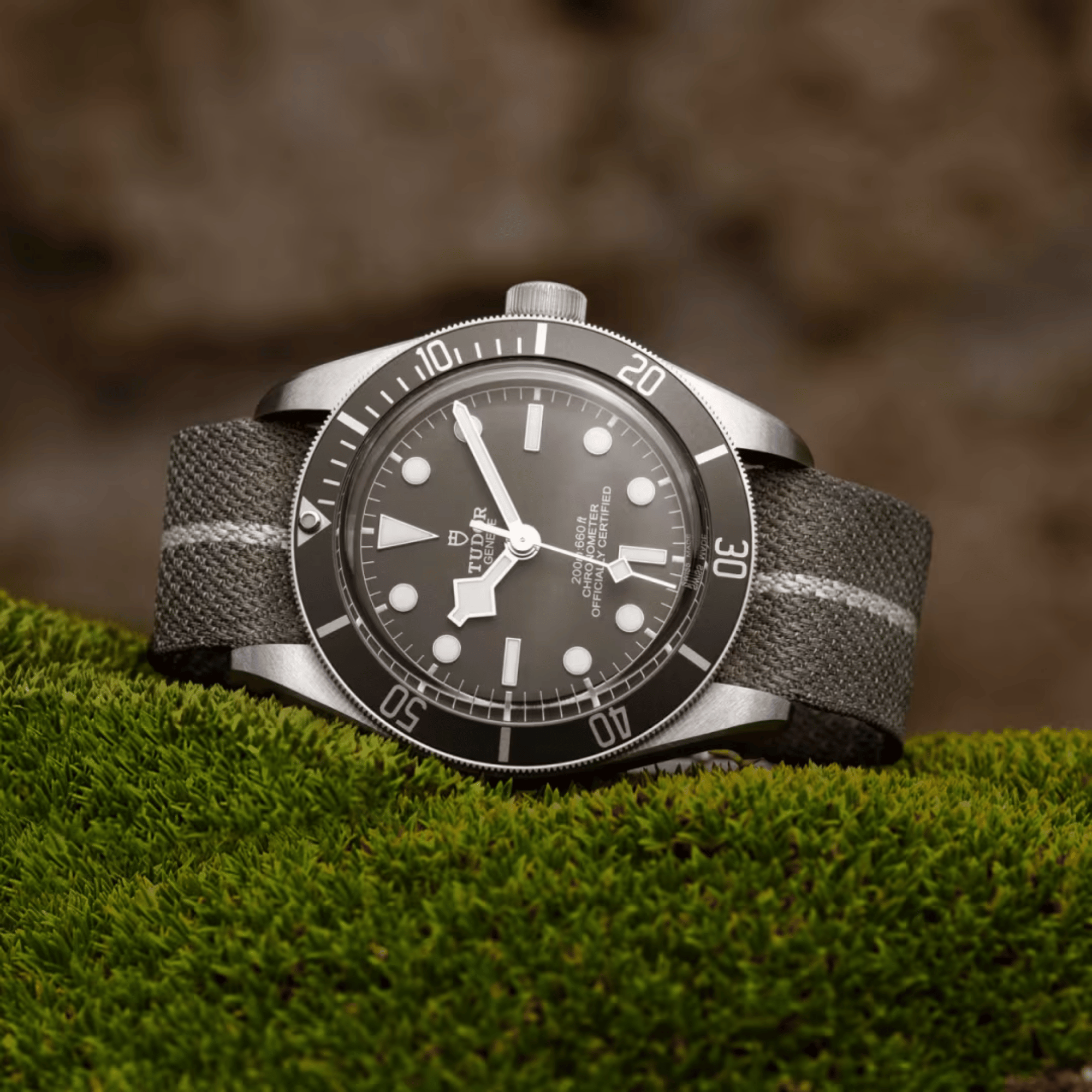 Black Bay 58 925 Silver Grey Dial 39mm Product Image 1