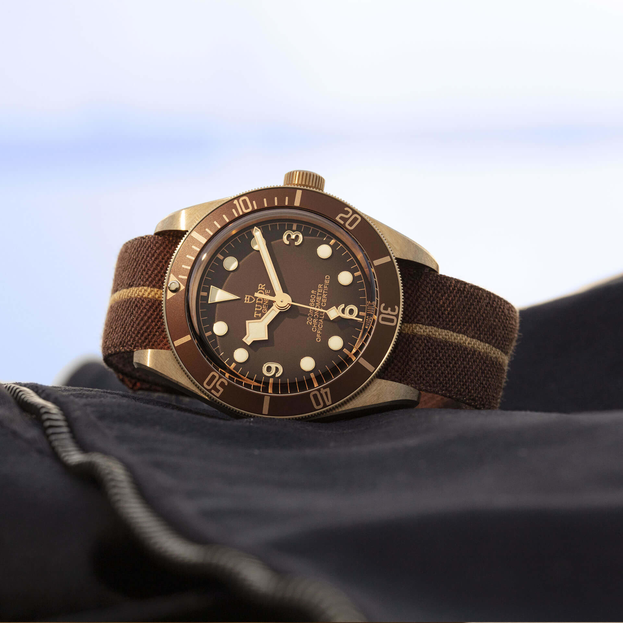 Black Bay 58 Bronze Brown Dial 39mm Product Image 4