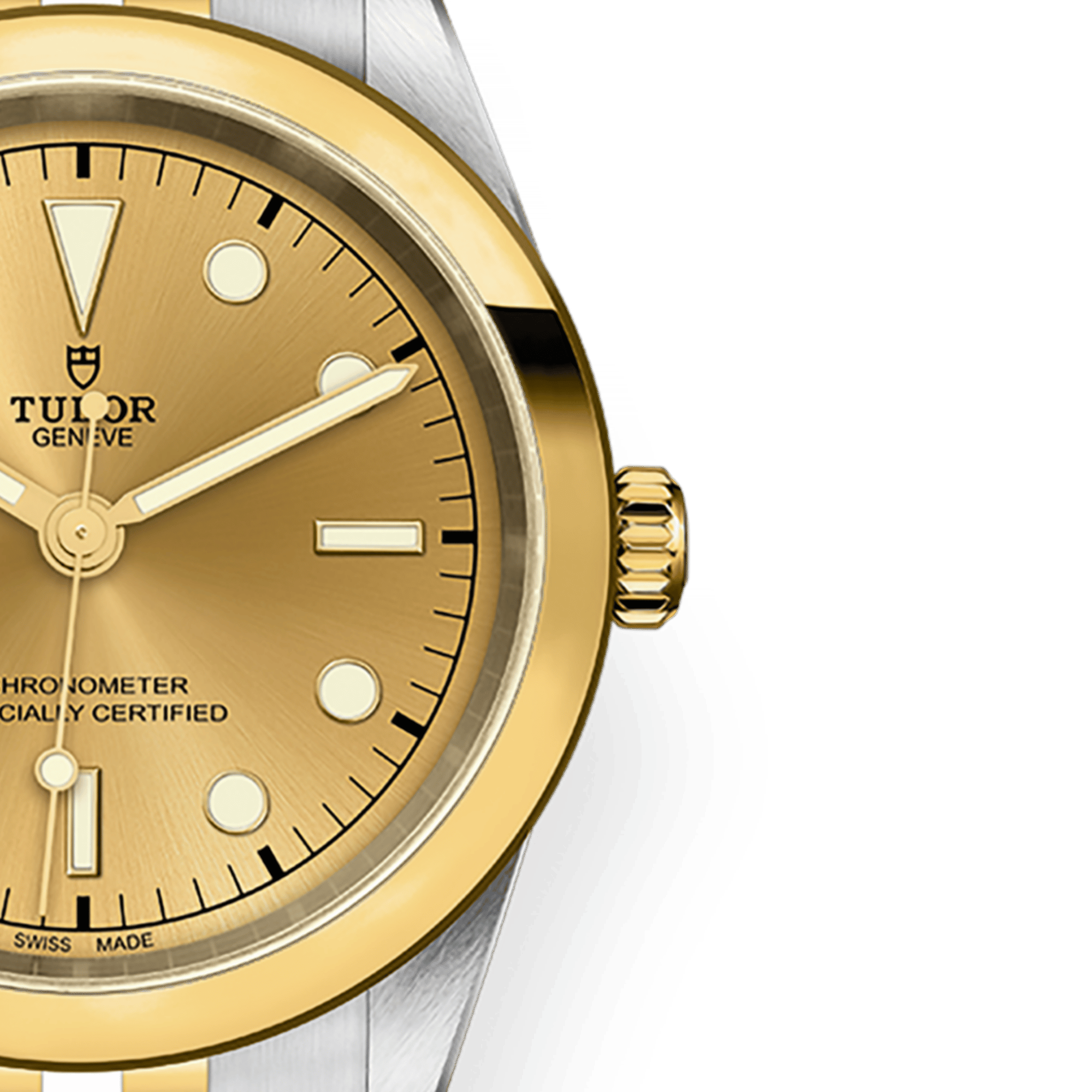 Black Bay Yellow Gold & Steel Silver Dial 41mm Product Image 2