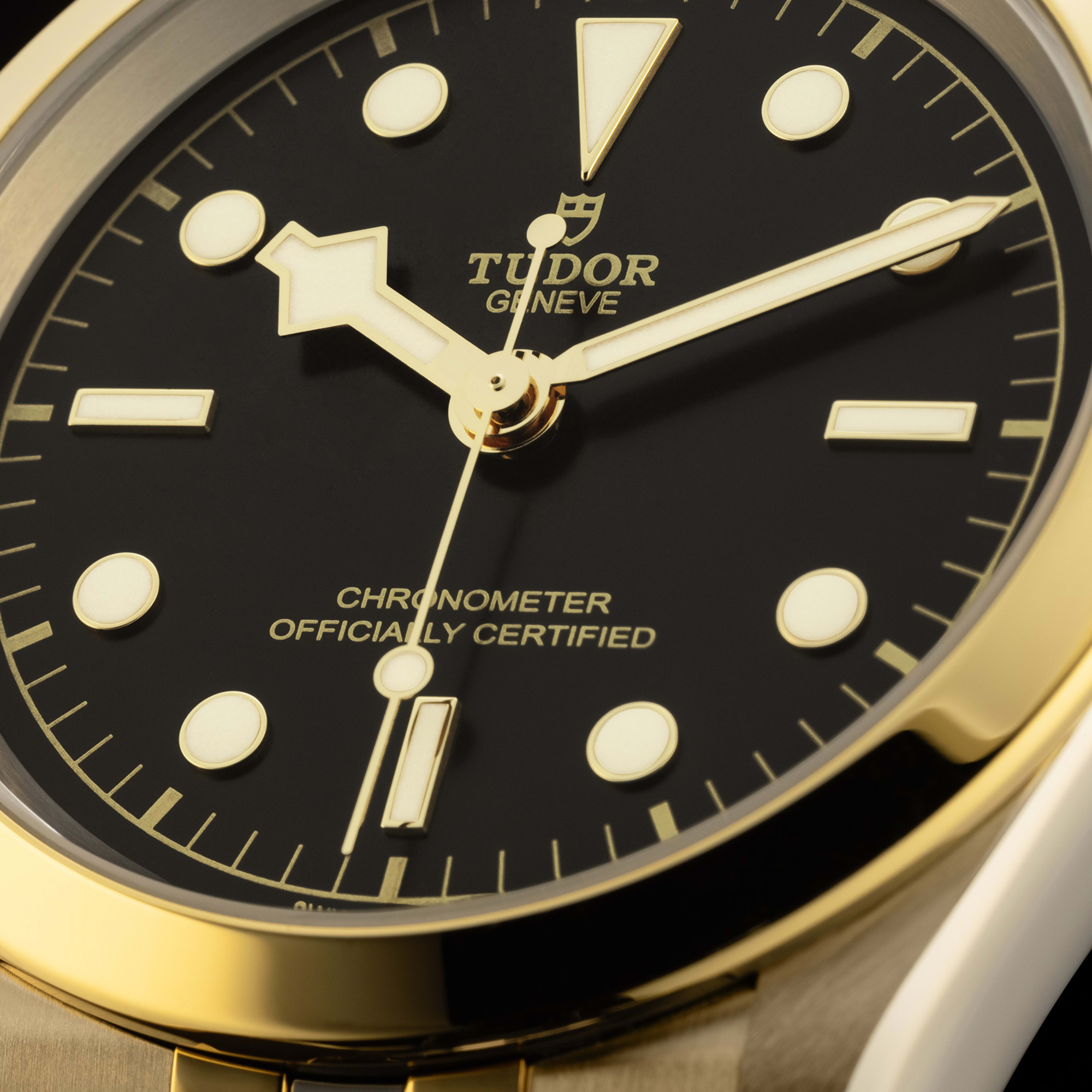 Black Bay Yellow Gold & Steel Black Dial 41mm Product Image 2