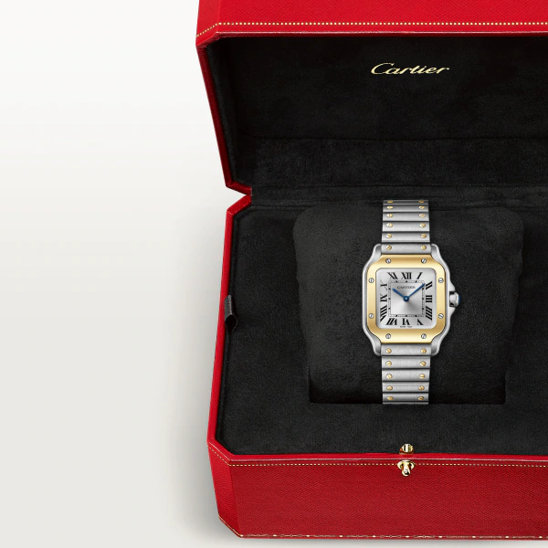 Santos de Cartier Yellow Gold & Steel Silver Dial 34mm Product Image 5