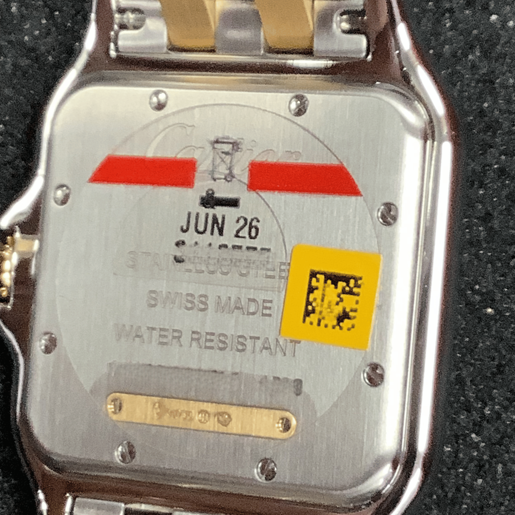 Panthère de Cartier Yellow Gold & Steel Silver Dial 31mm Product Image 2