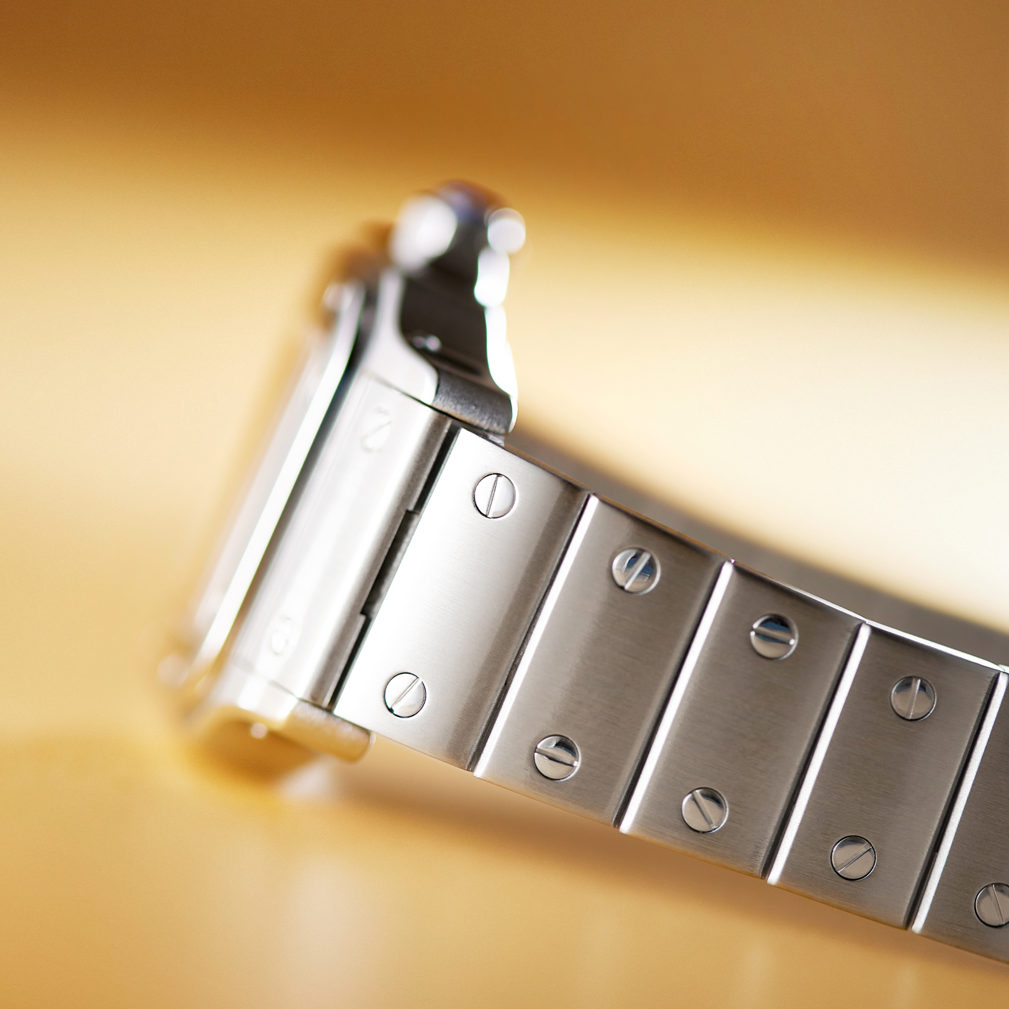 Santos Galbee Steel Silver Dial 24mm Product Image 13