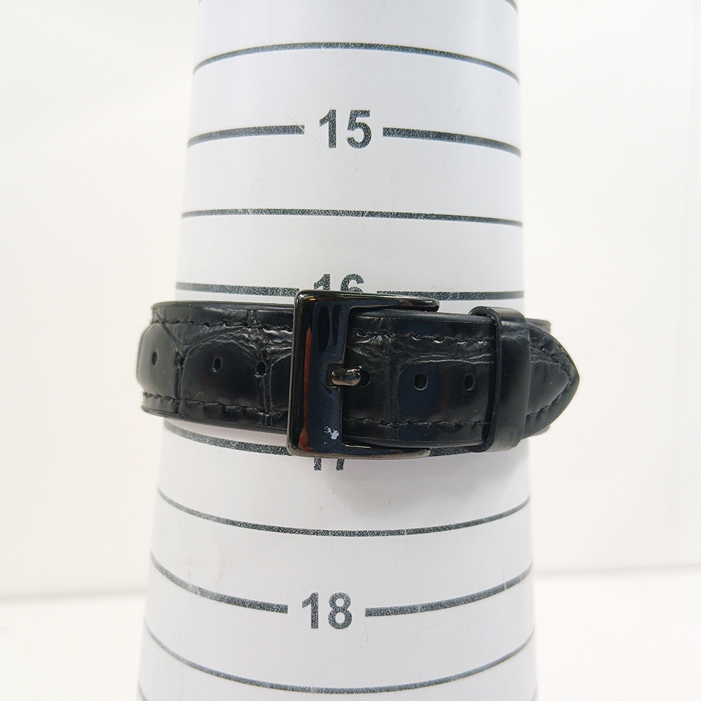 Santos-Dumont Micro-Rotor Steel Skeleton Dial 43mm Product Image 8