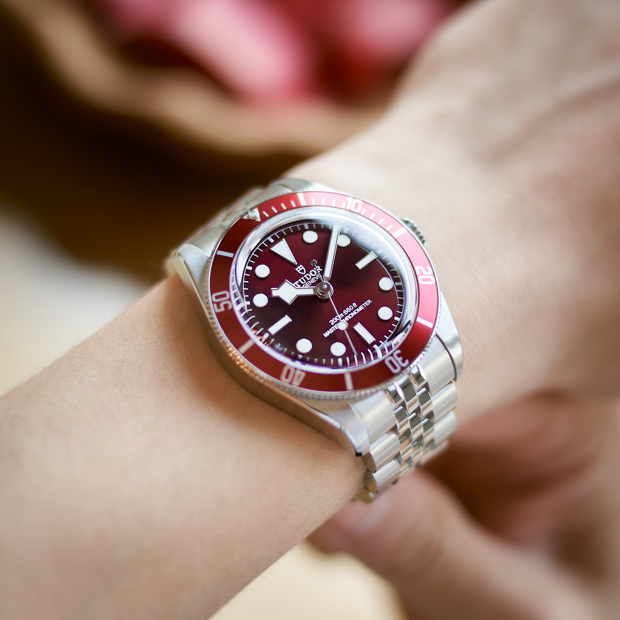 Tudor Black Bay 58 Steel Red Dial 39mm M7939A1A0RU-0001 - Make an