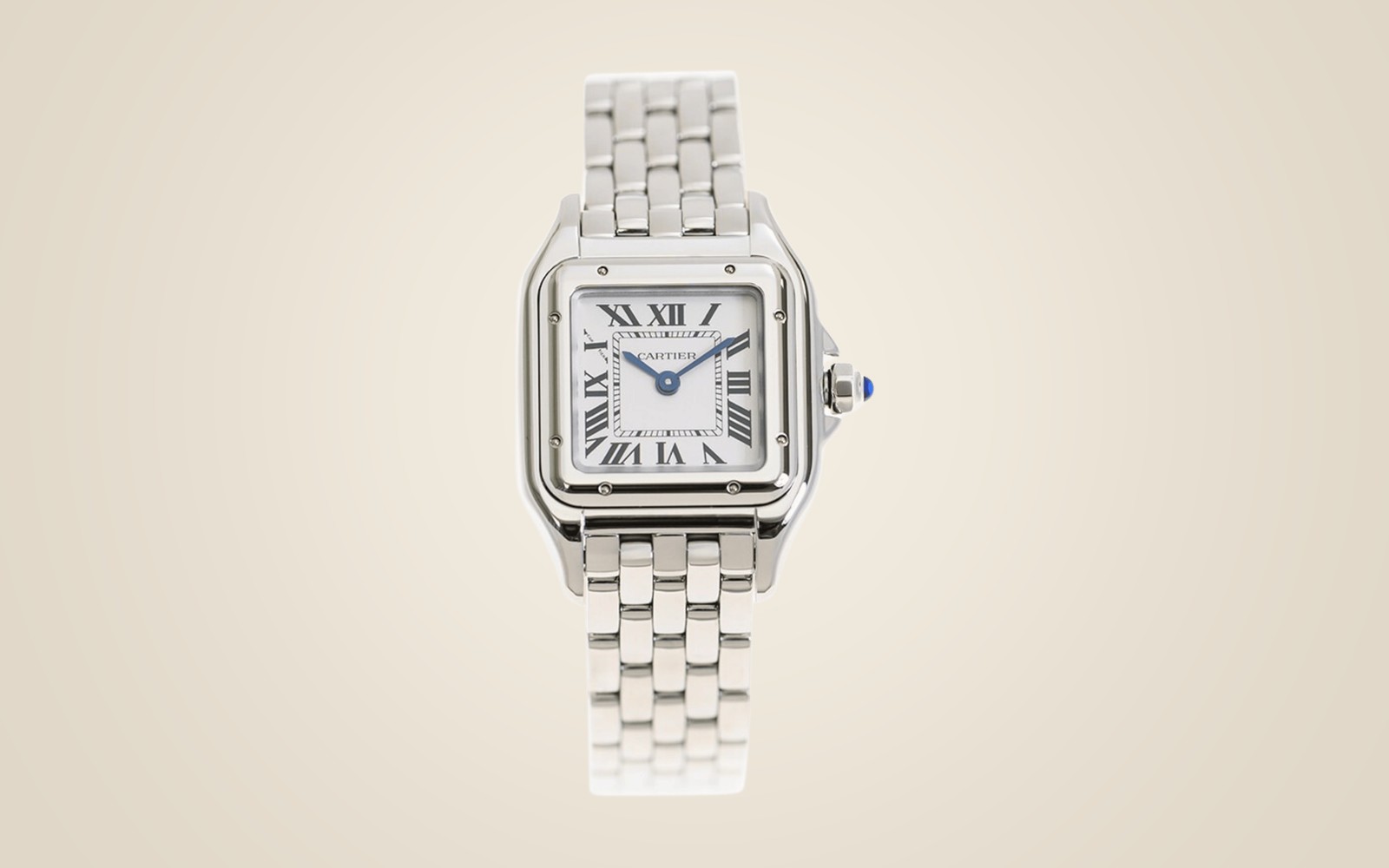 Cartier Panthère de Cartier in Steel