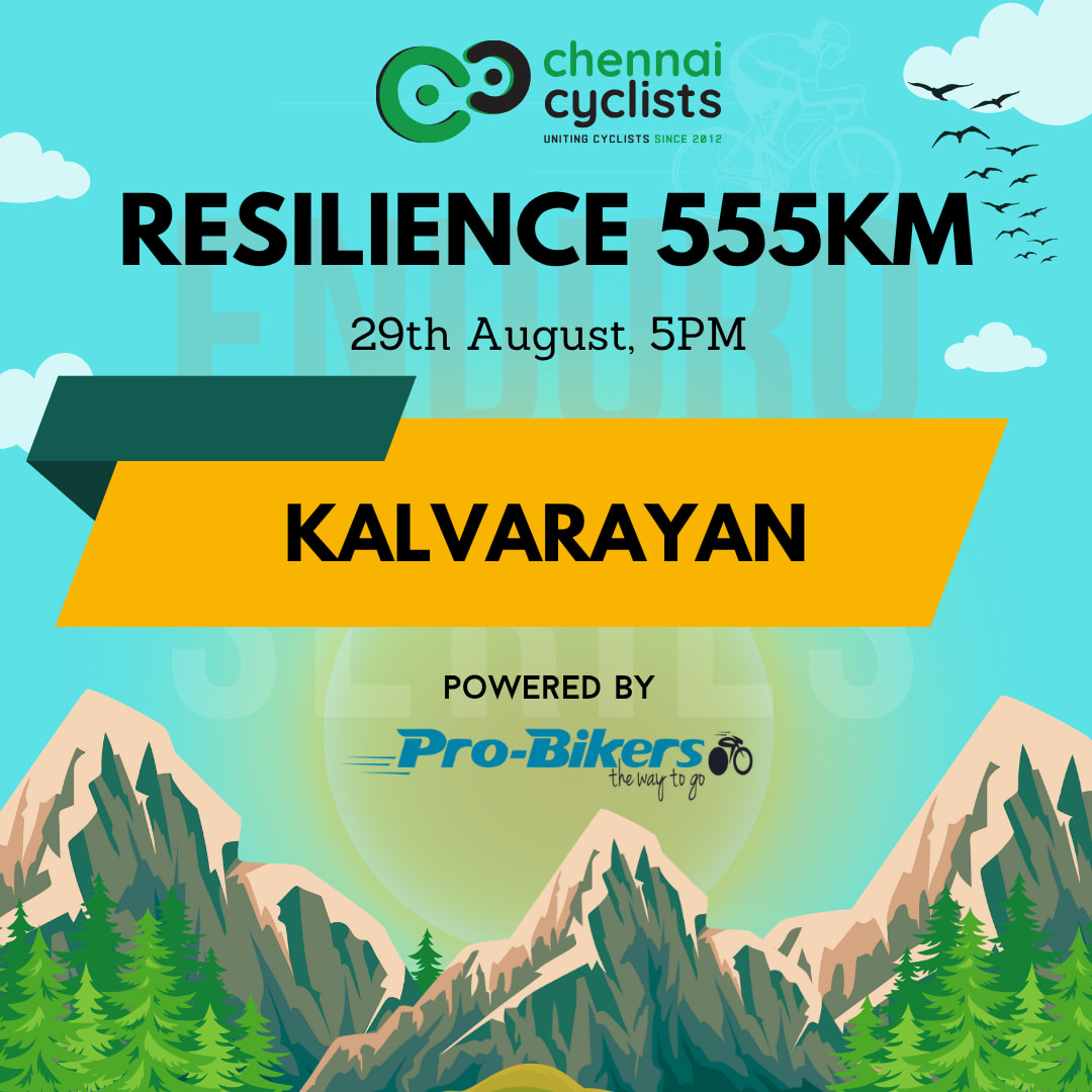 Resilience 555 - Aug 2025