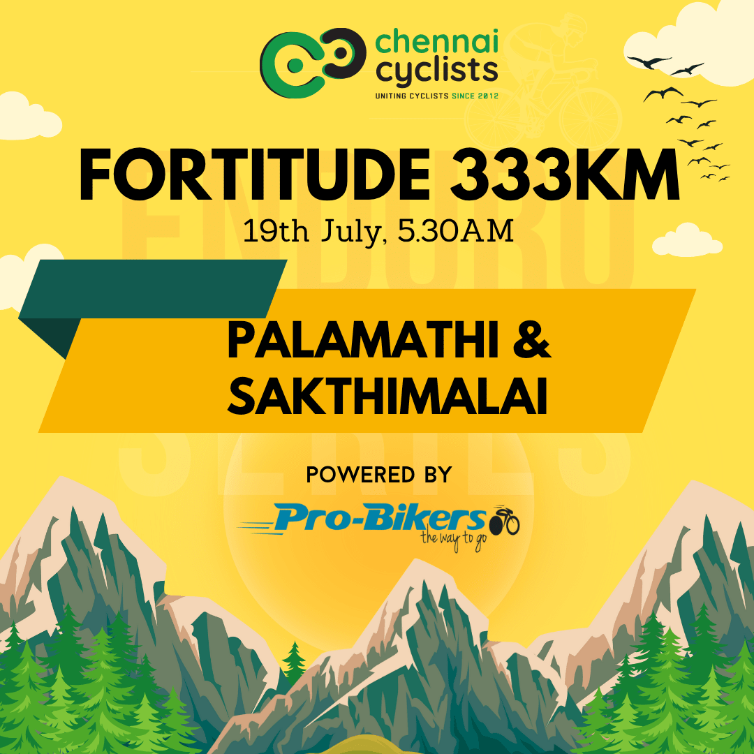 Fortitude 333 - July 2025