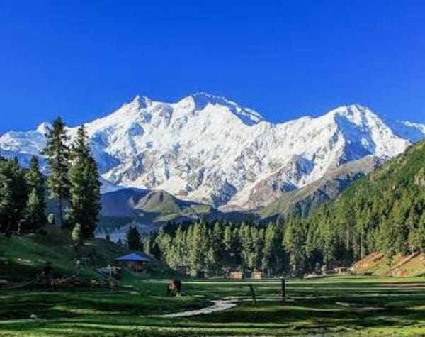 5 Days trip Fairy Meadows 
